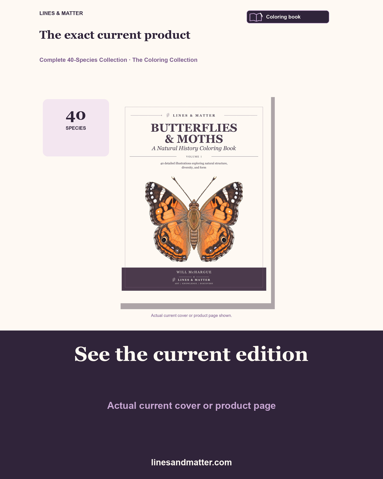 Butterflies & Moths coloring preview 3