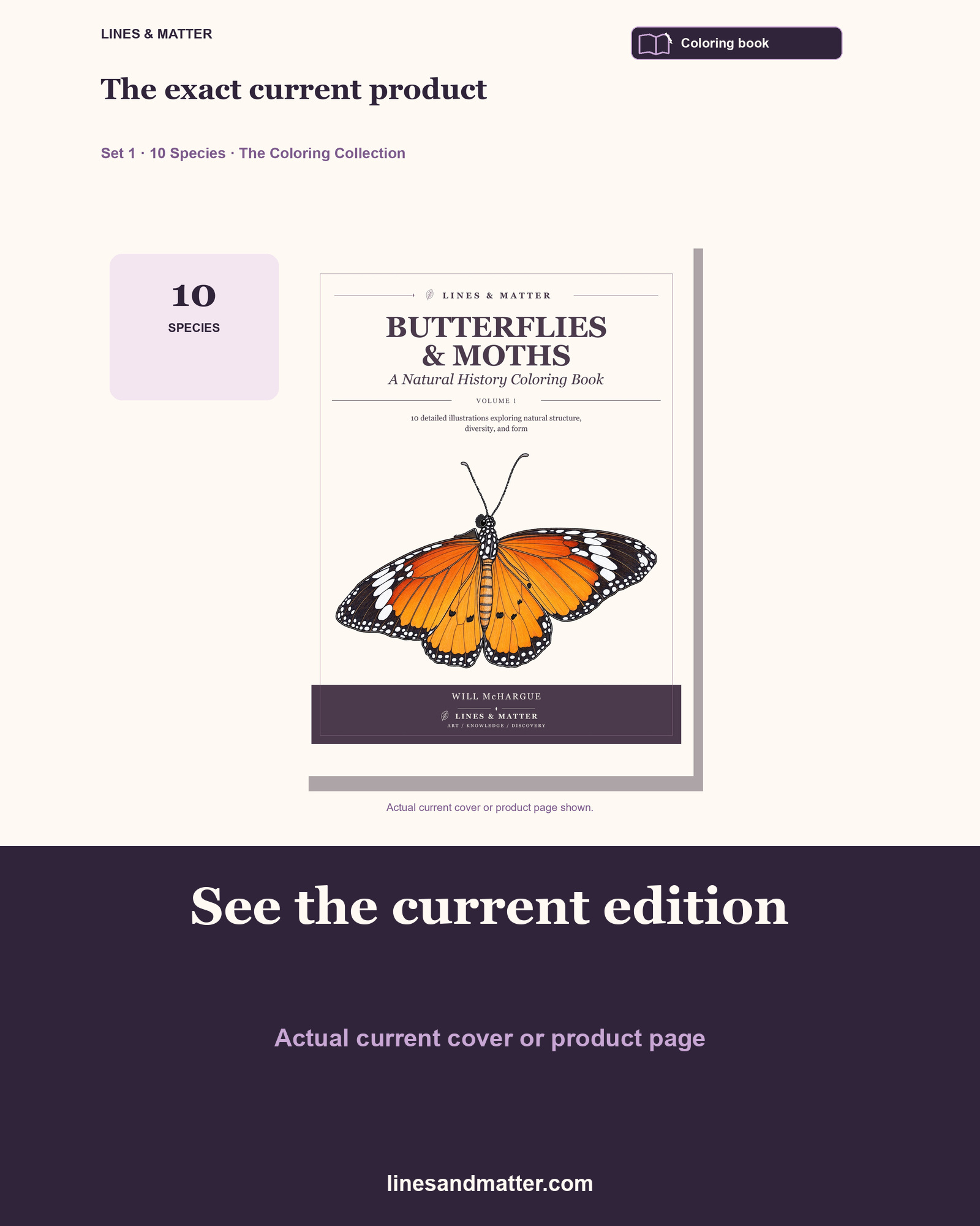 Butterflies & Moths coloring preview 3