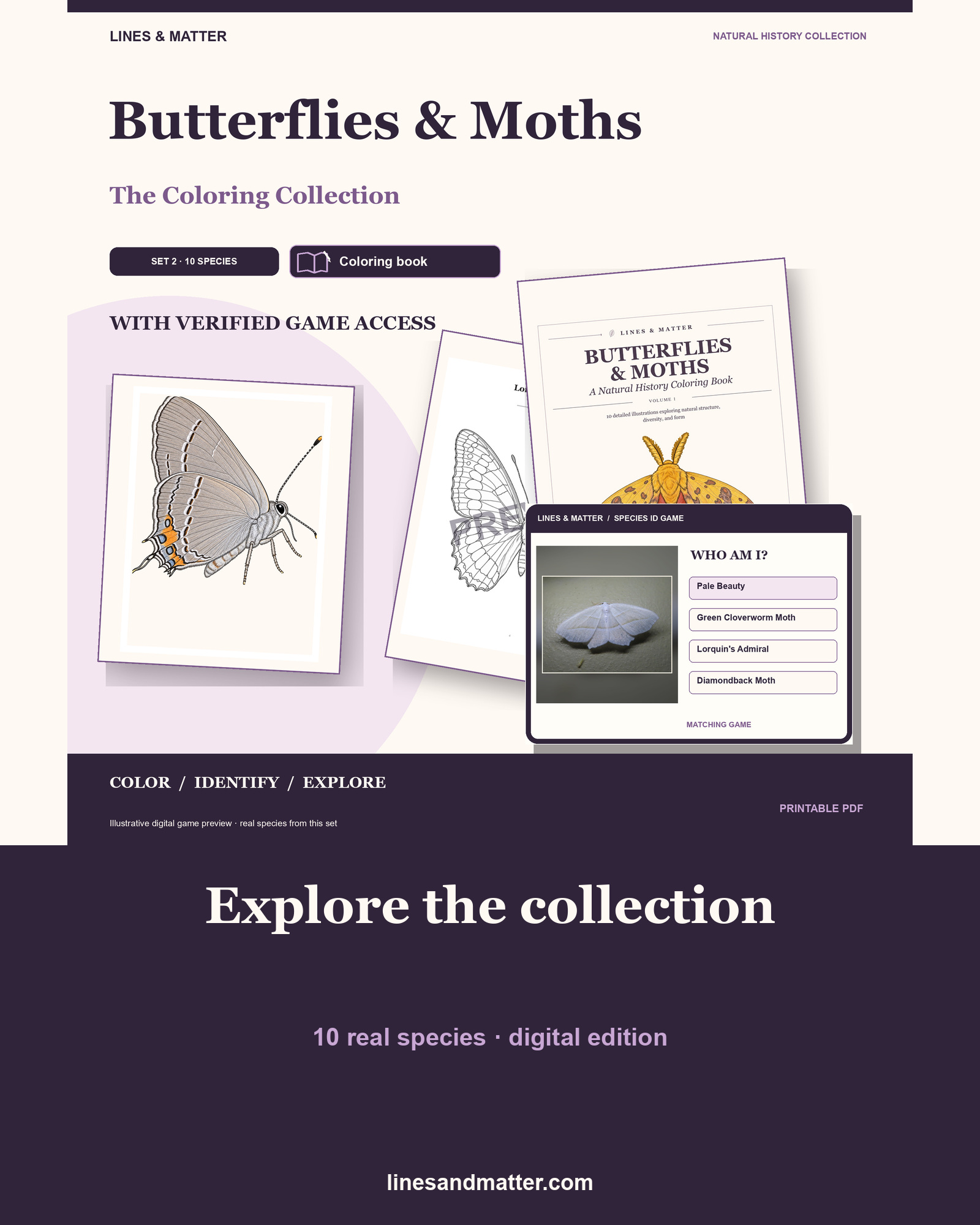 Butterflies & Moths coloring preview 1
