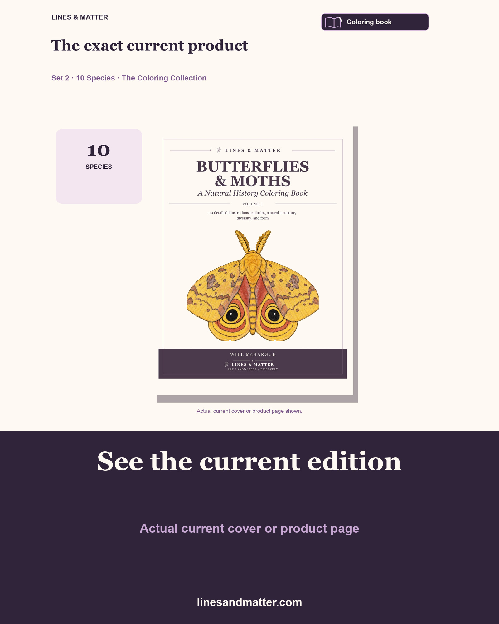 Butterflies & Moths coloring preview 3
