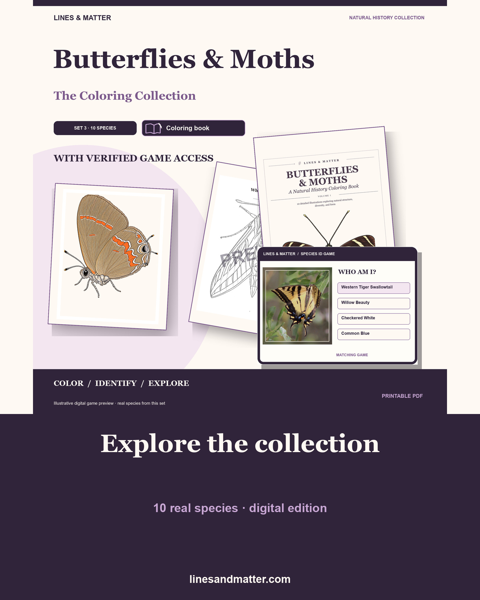 Butterflies & Moths coloring preview 1