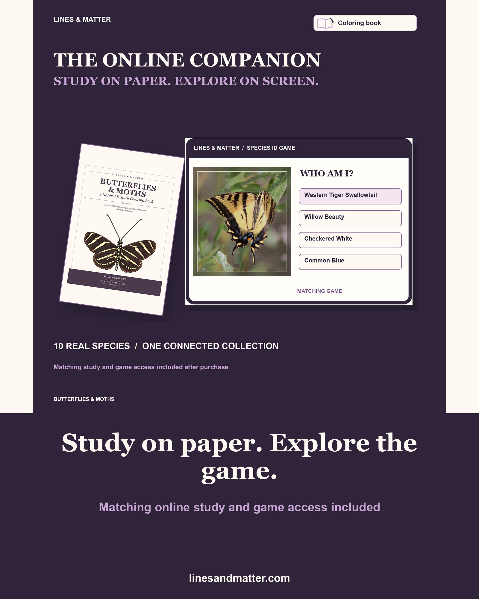 Butterflies & Moths coloring preview 2