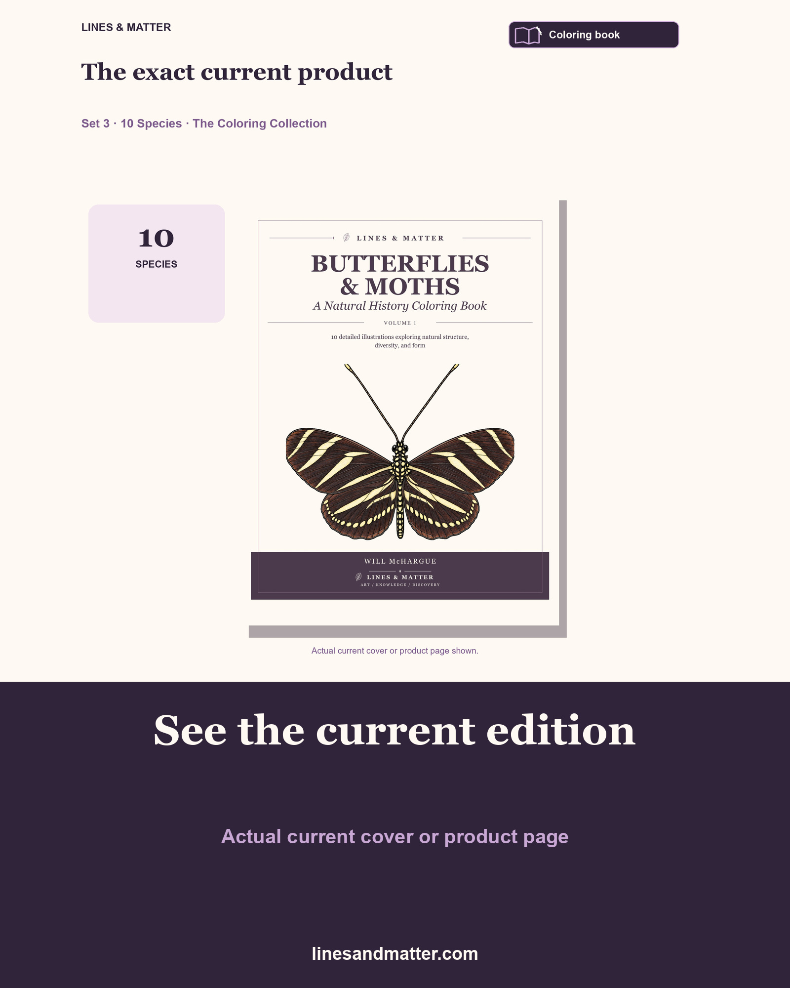 Butterflies & Moths coloring preview 3
