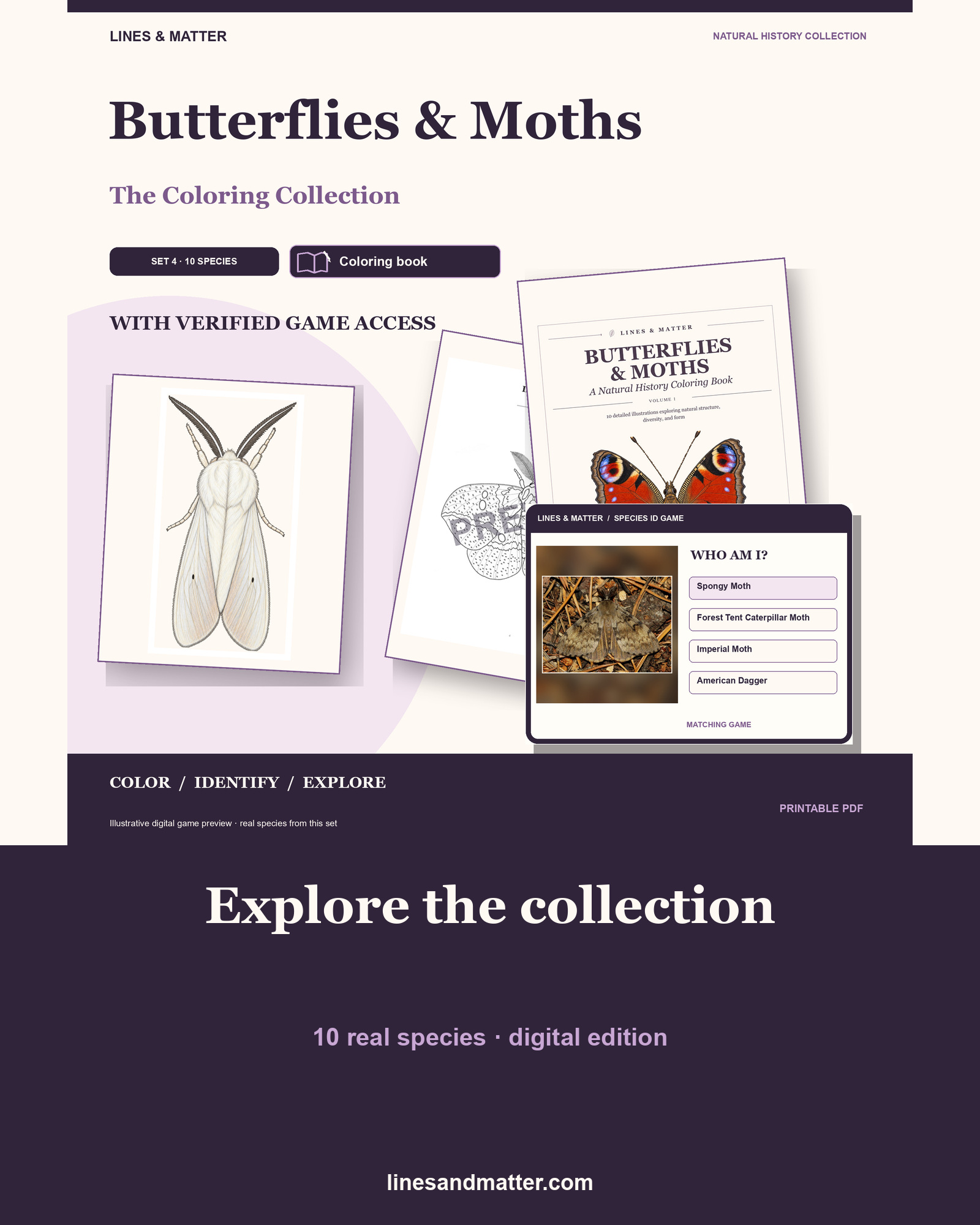 Butterflies & Moths coloring preview 1
