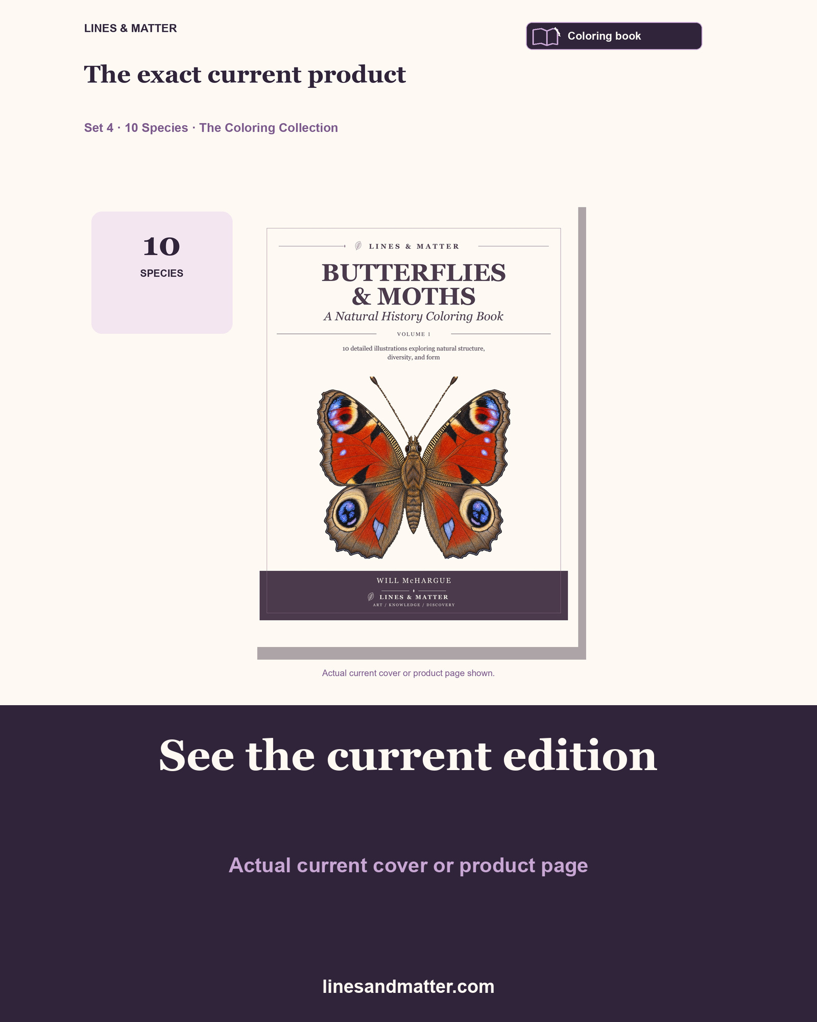 Butterflies & Moths coloring preview 3
