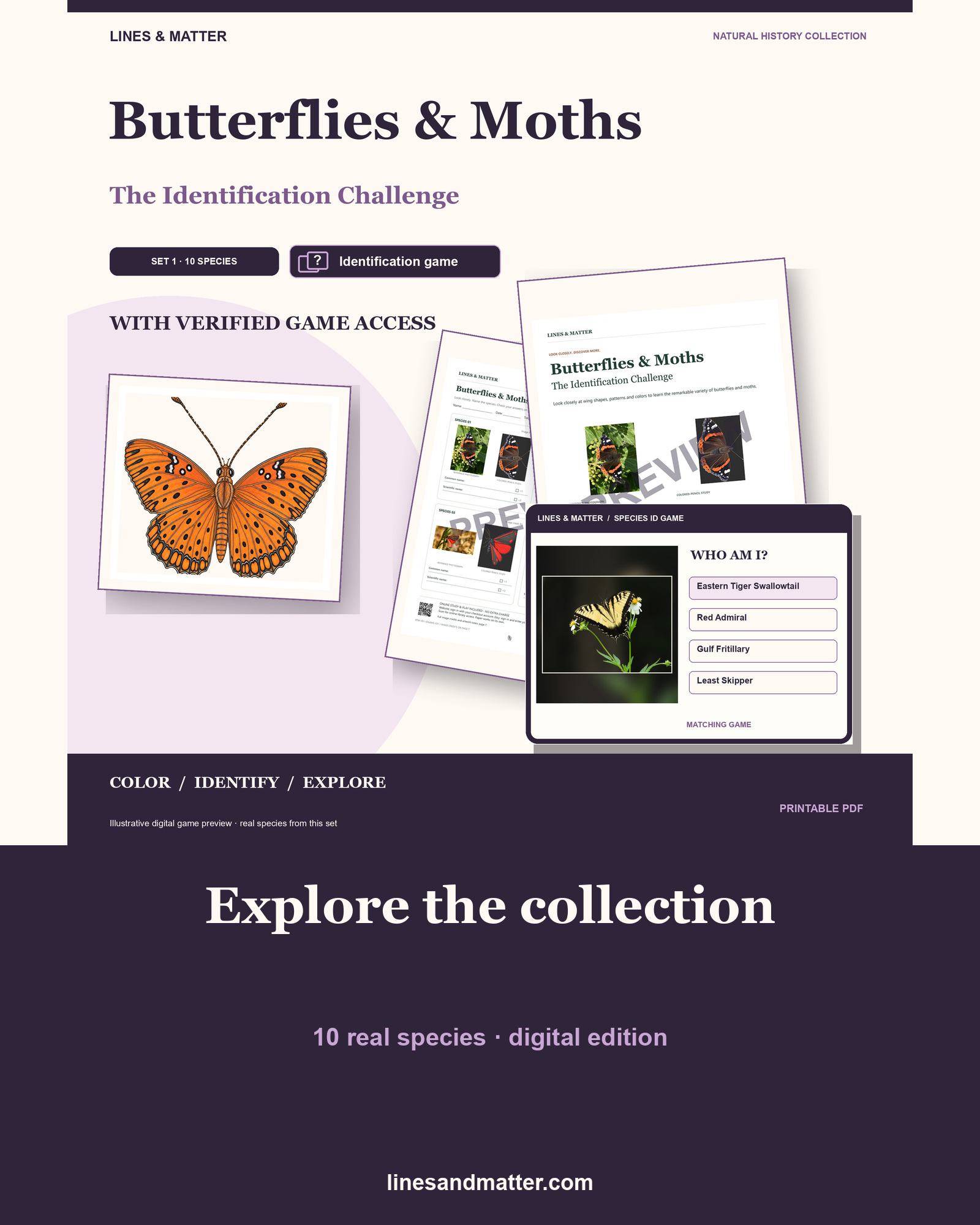 Butterflies & Moths identification preview 1