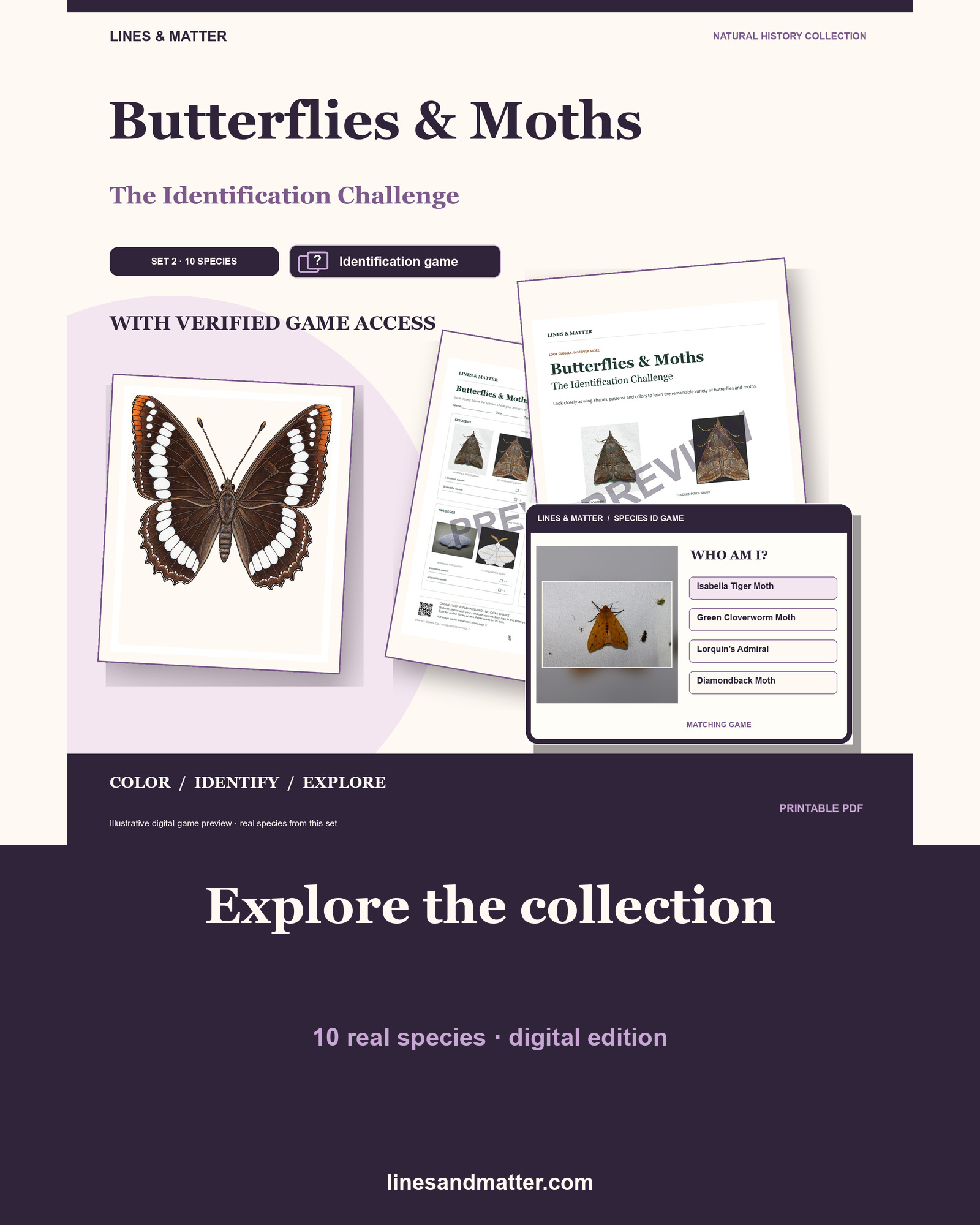 Butterflies & Moths identification preview 1
