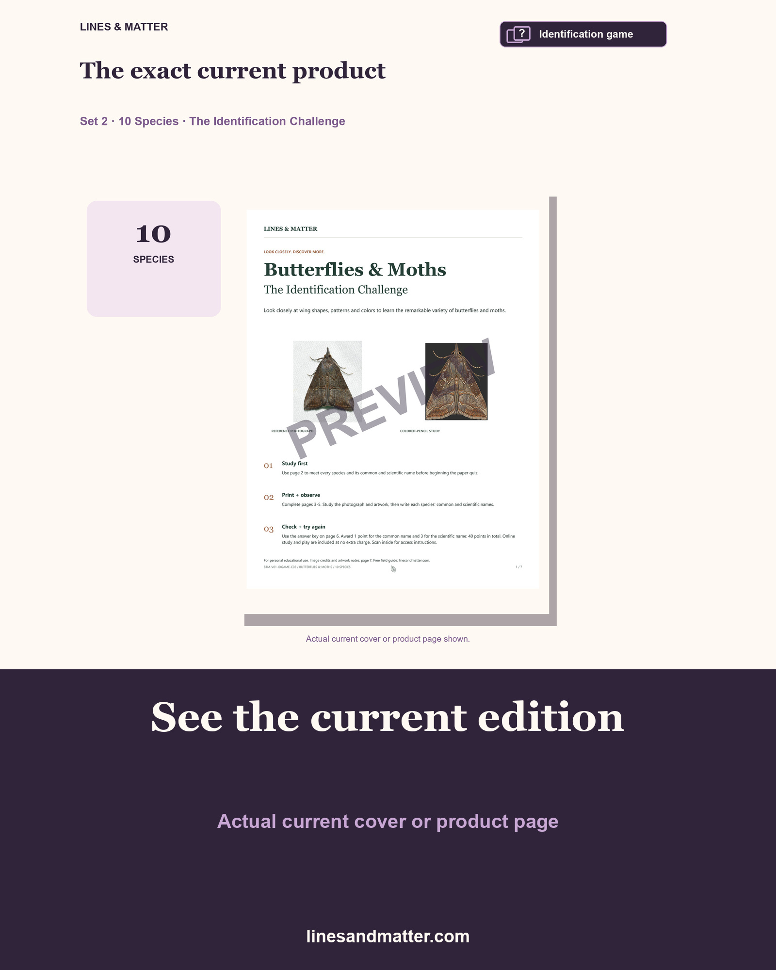 Butterflies & Moths identification preview 3
