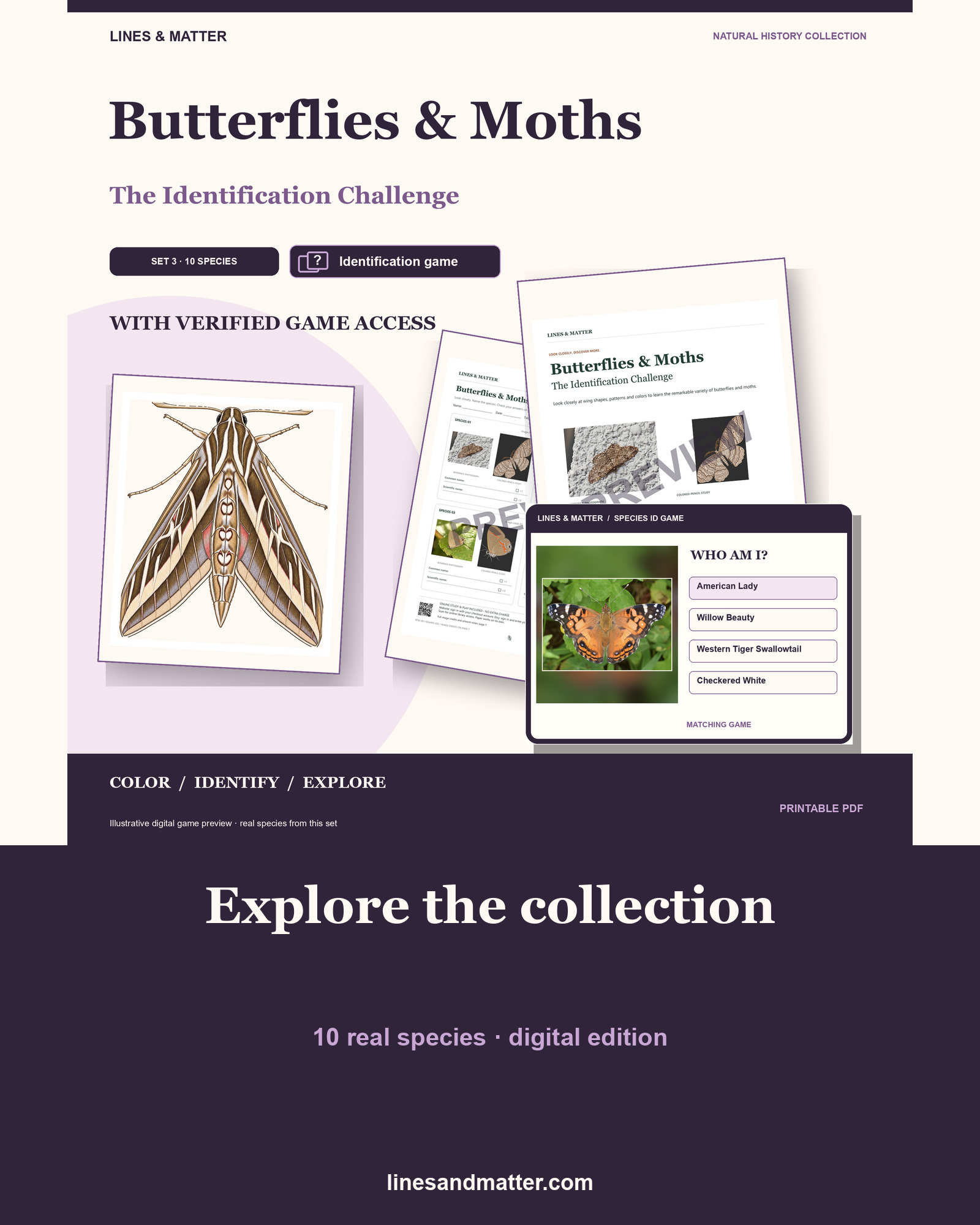 Butterflies & Moths identification preview 1