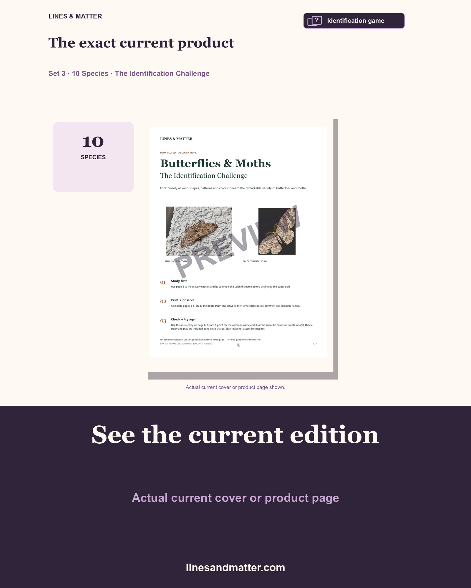 Butterflies & Moths identification preview 3