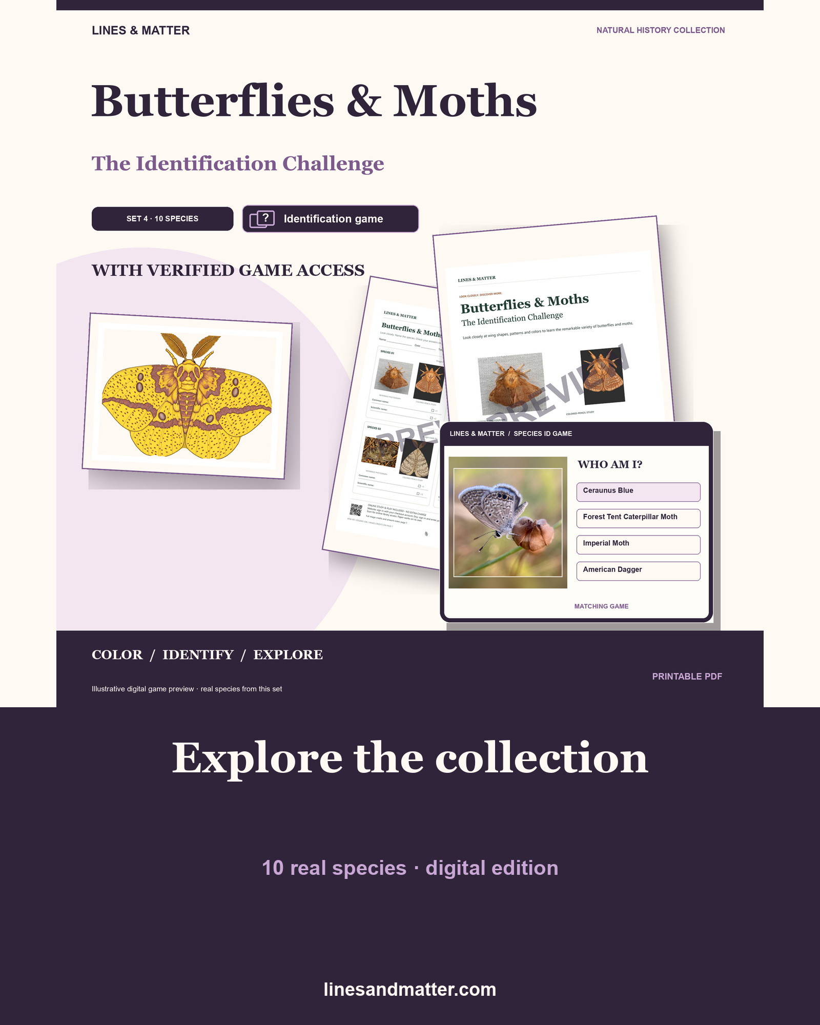 Butterflies & Moths identification preview 1