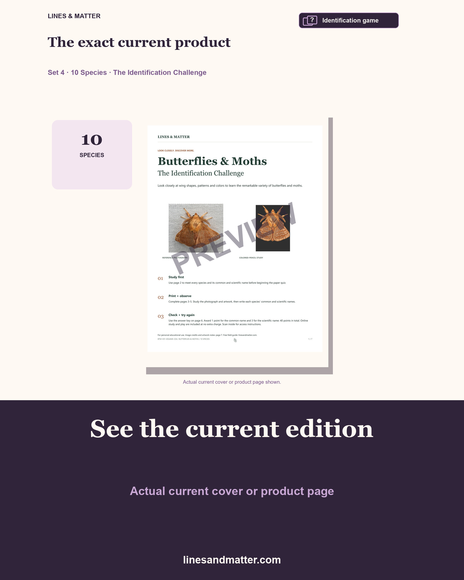 Butterflies & Moths identification preview 3