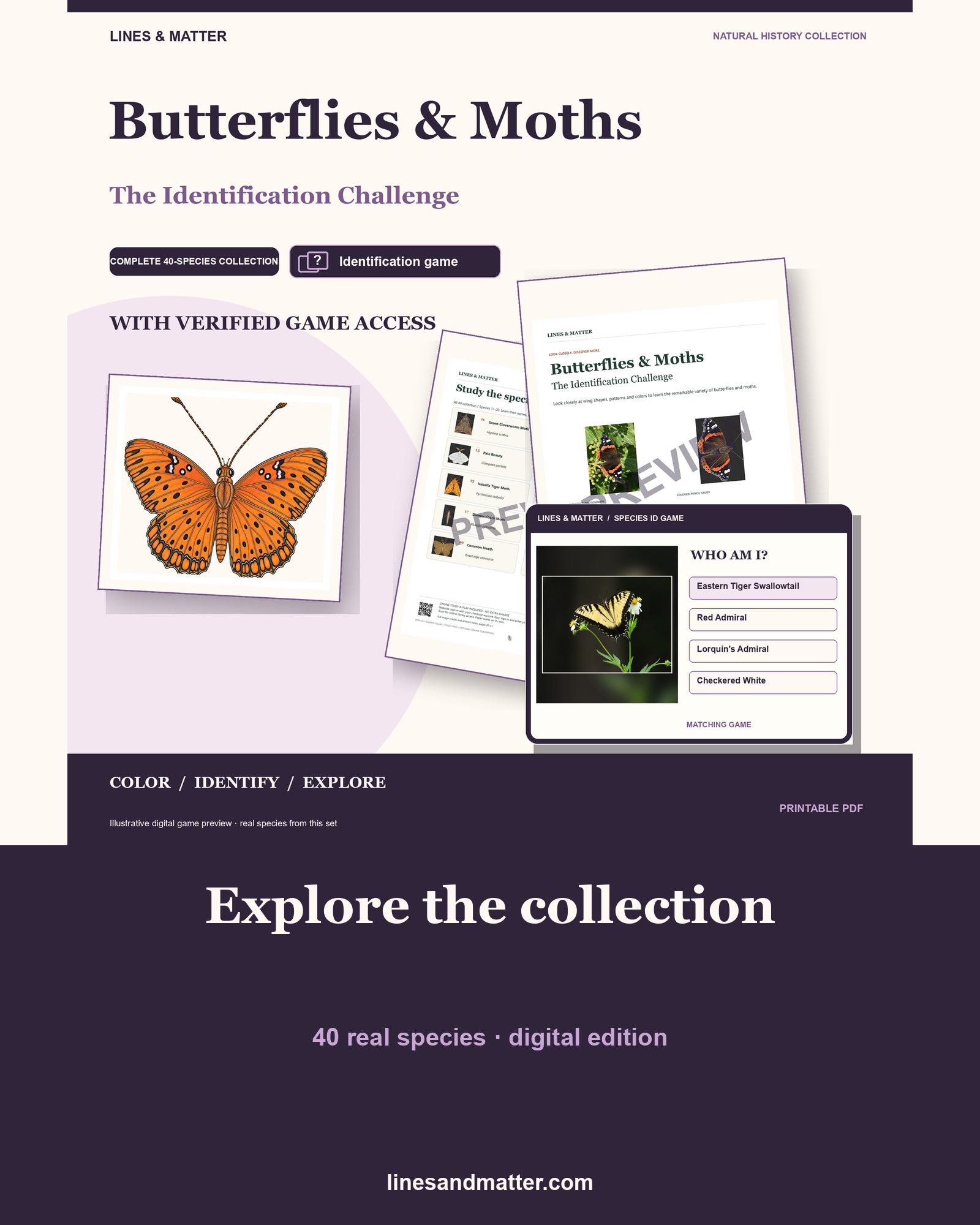 Butterflies & Moths identification preview 1