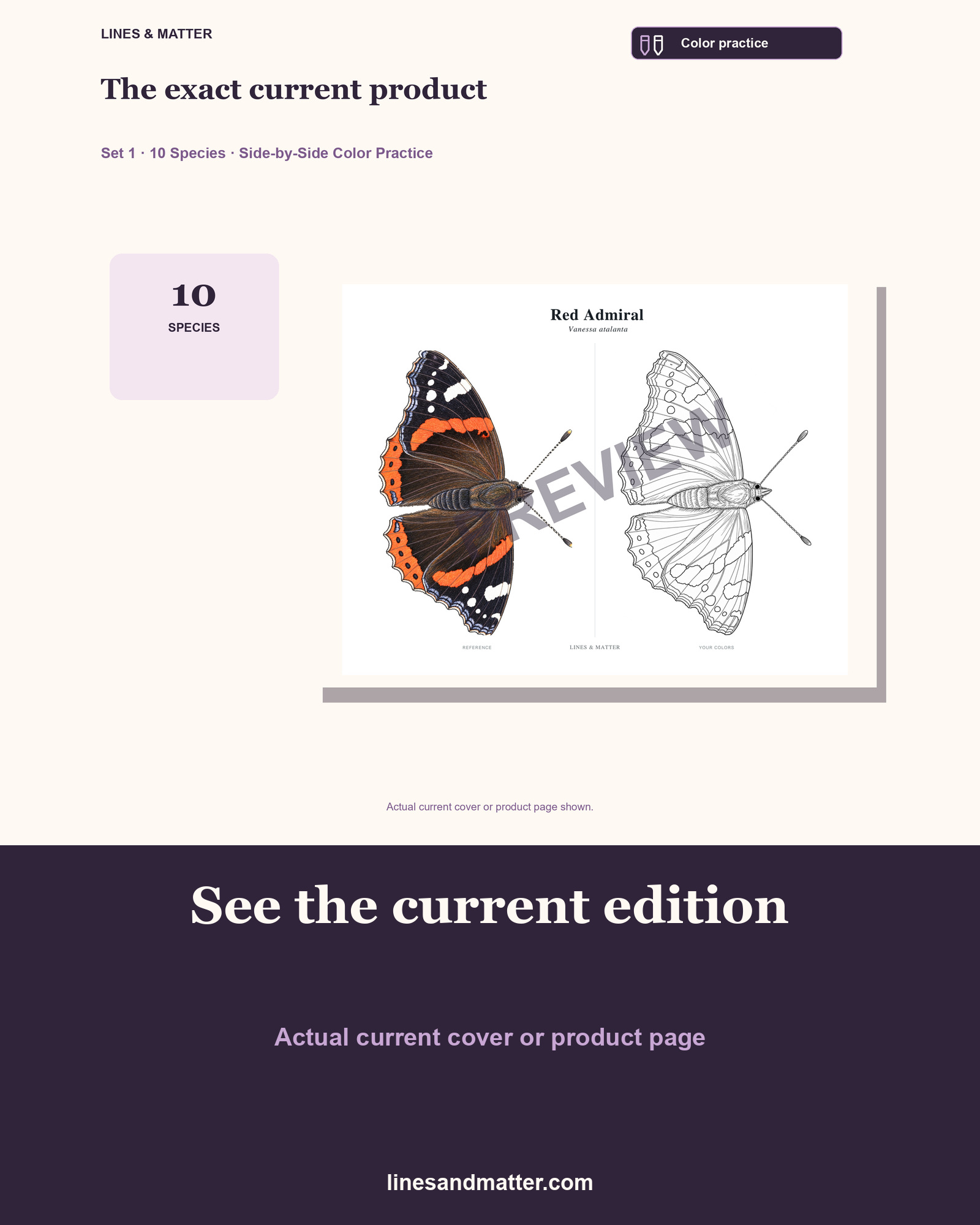 Butterflies & Moths practice preview 3