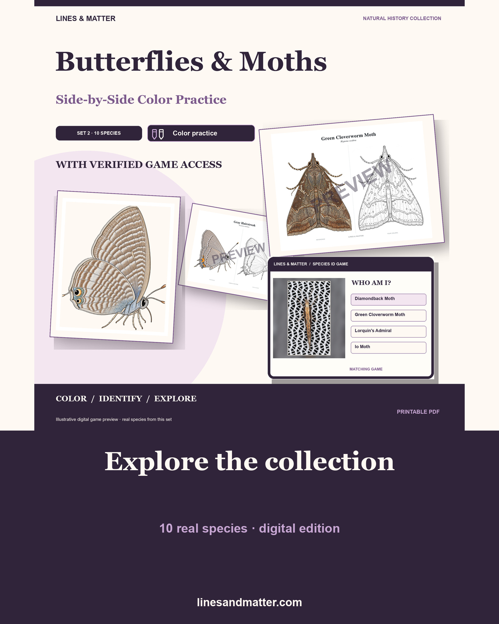Butterflies & Moths practice preview 1