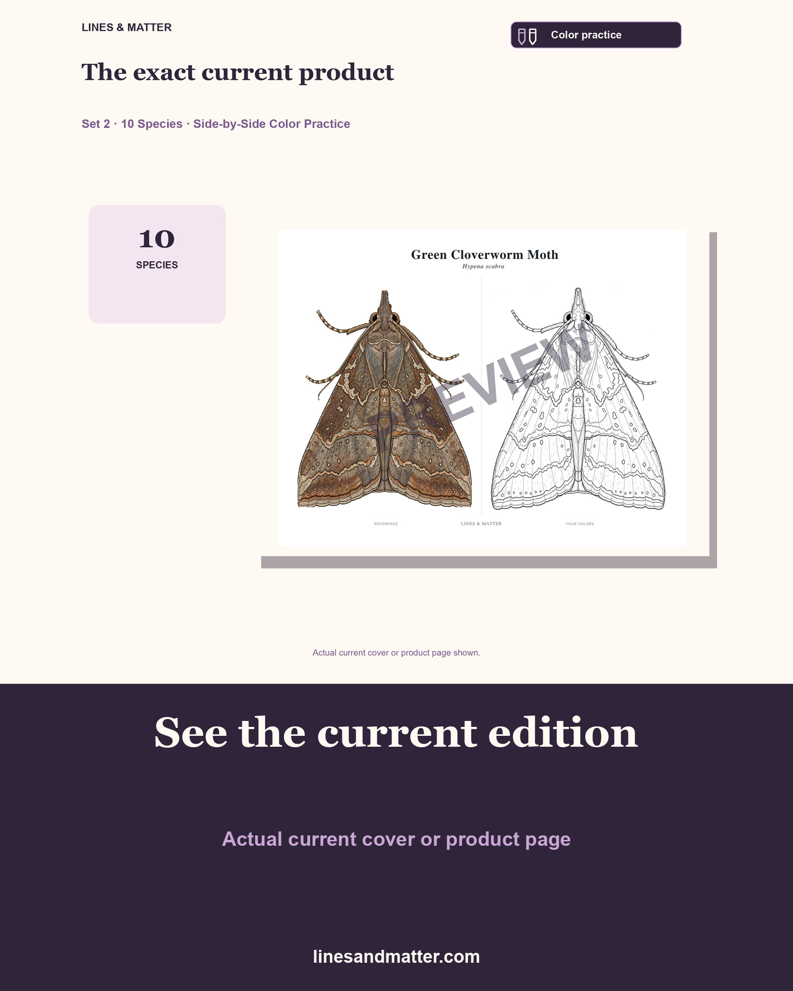 Butterflies & Moths practice preview 3