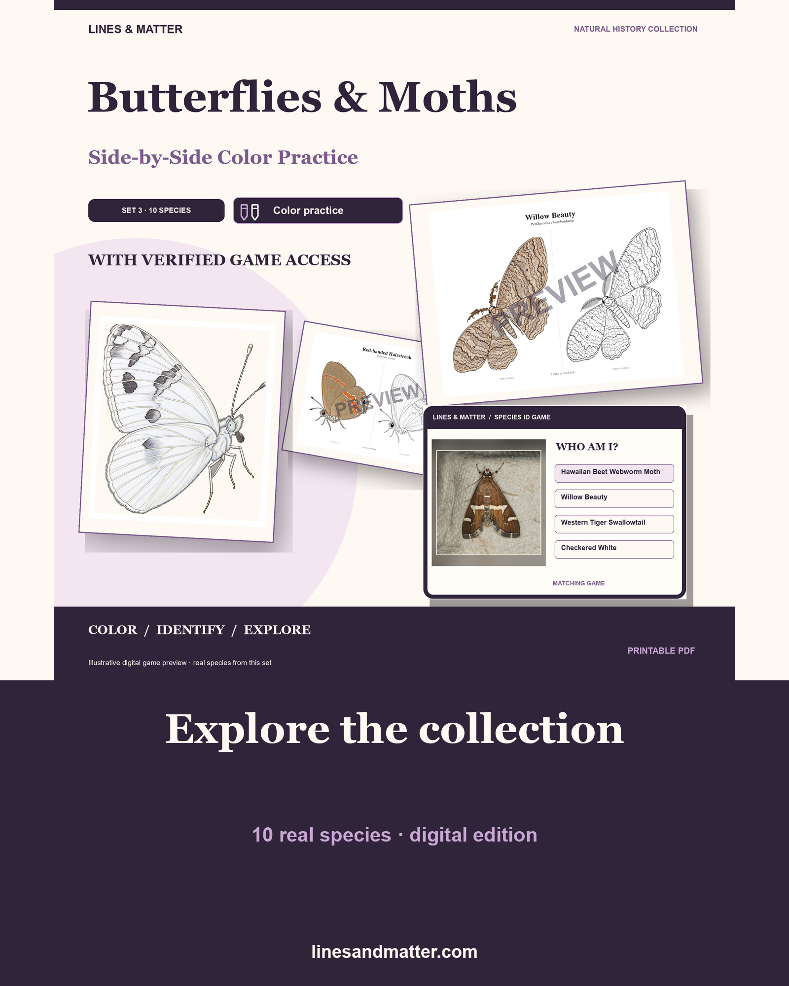 Butterflies & Moths practice preview 1