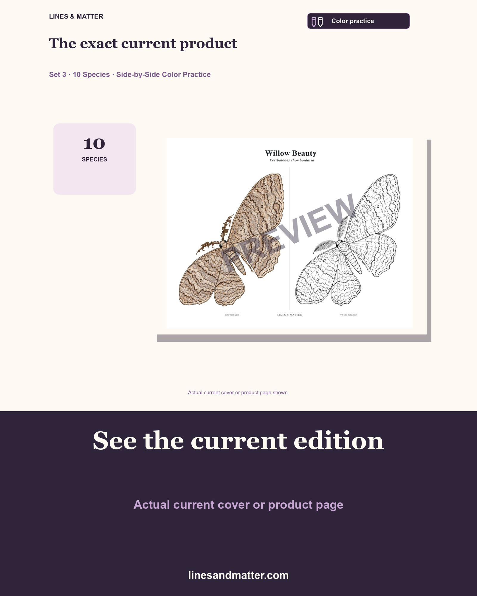 Butterflies & Moths practice preview 3