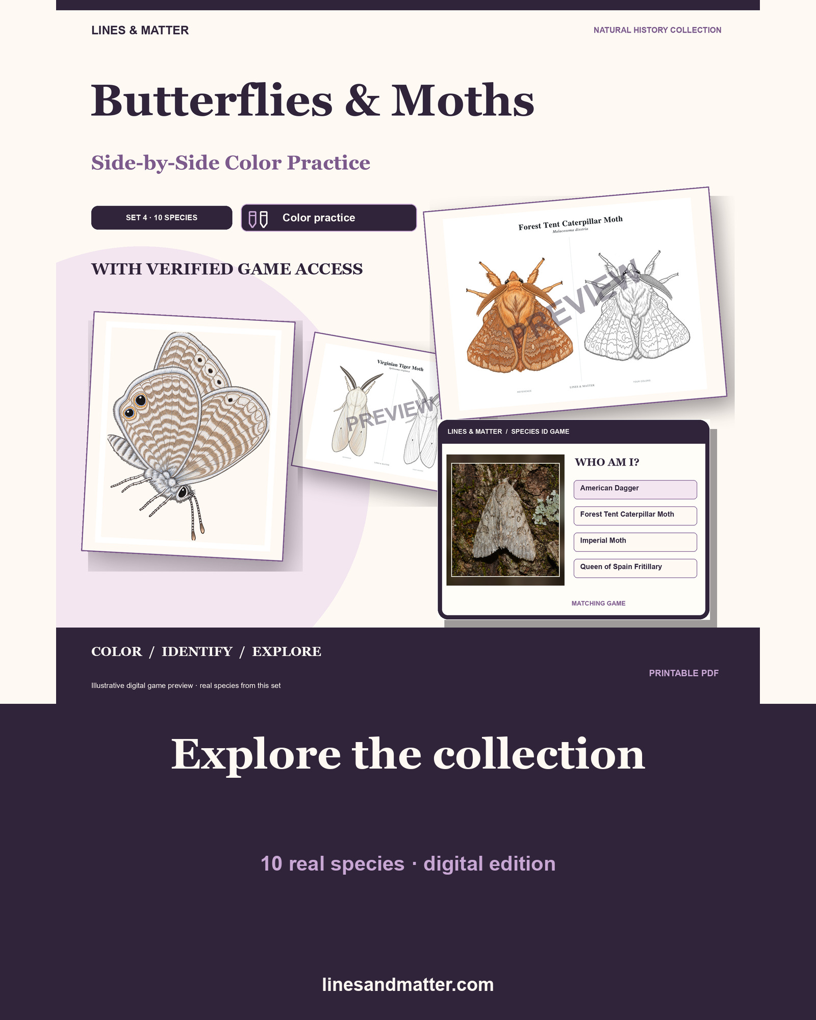 Butterflies & Moths practice preview 1