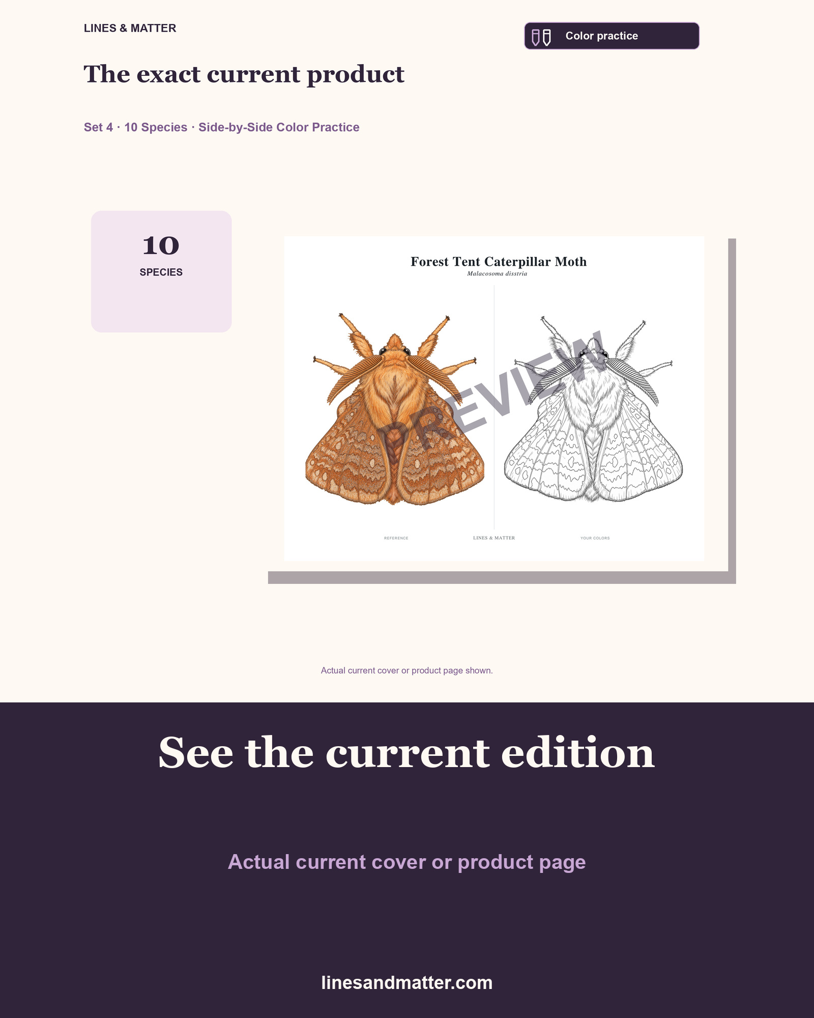 Butterflies & Moths practice preview 3