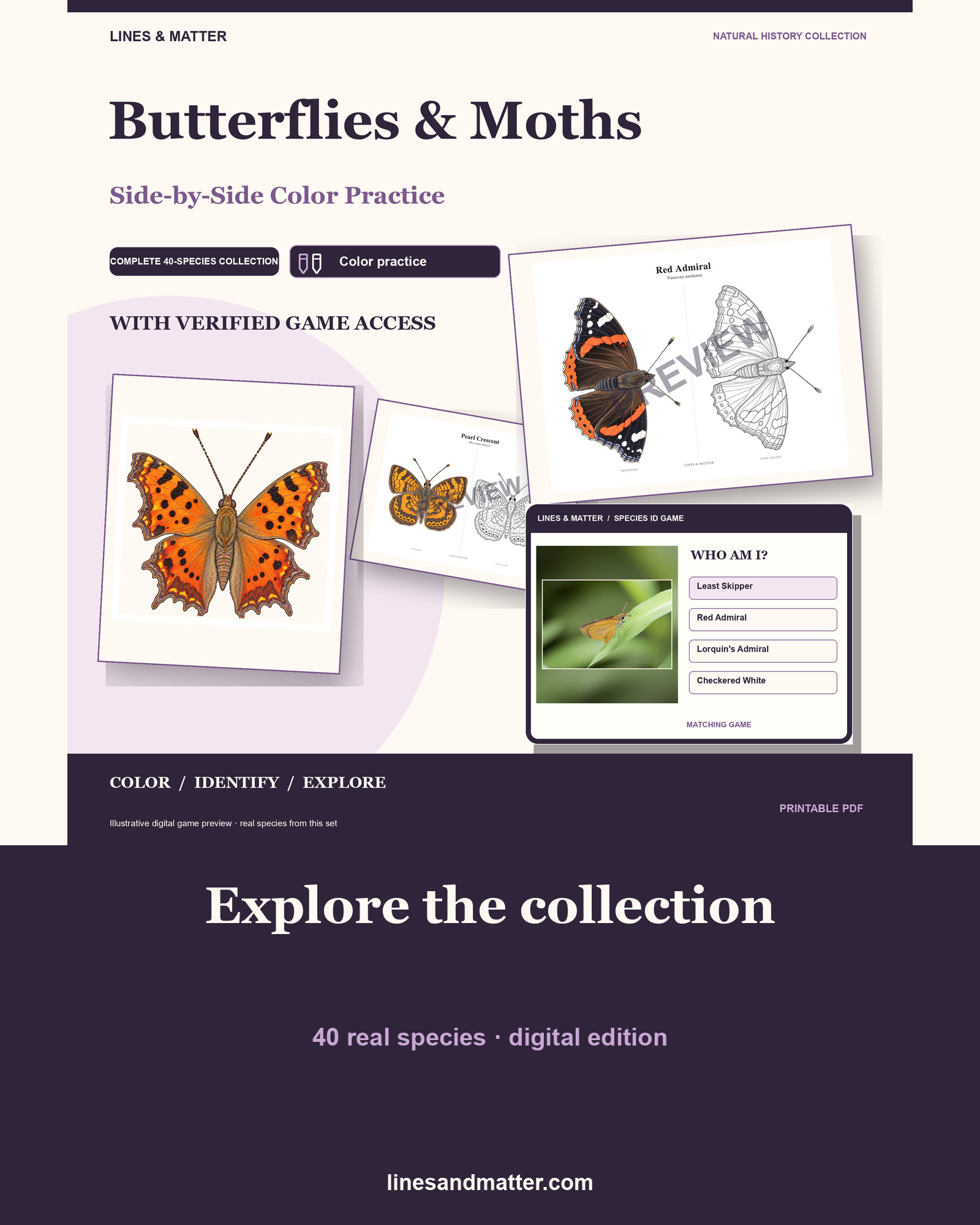 Butterflies & Moths practice preview 1