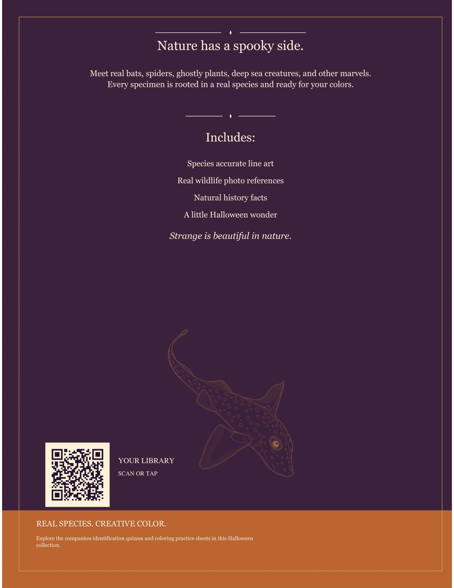 Halloween Wildlife Coloring book — Set 4 — the exact current product