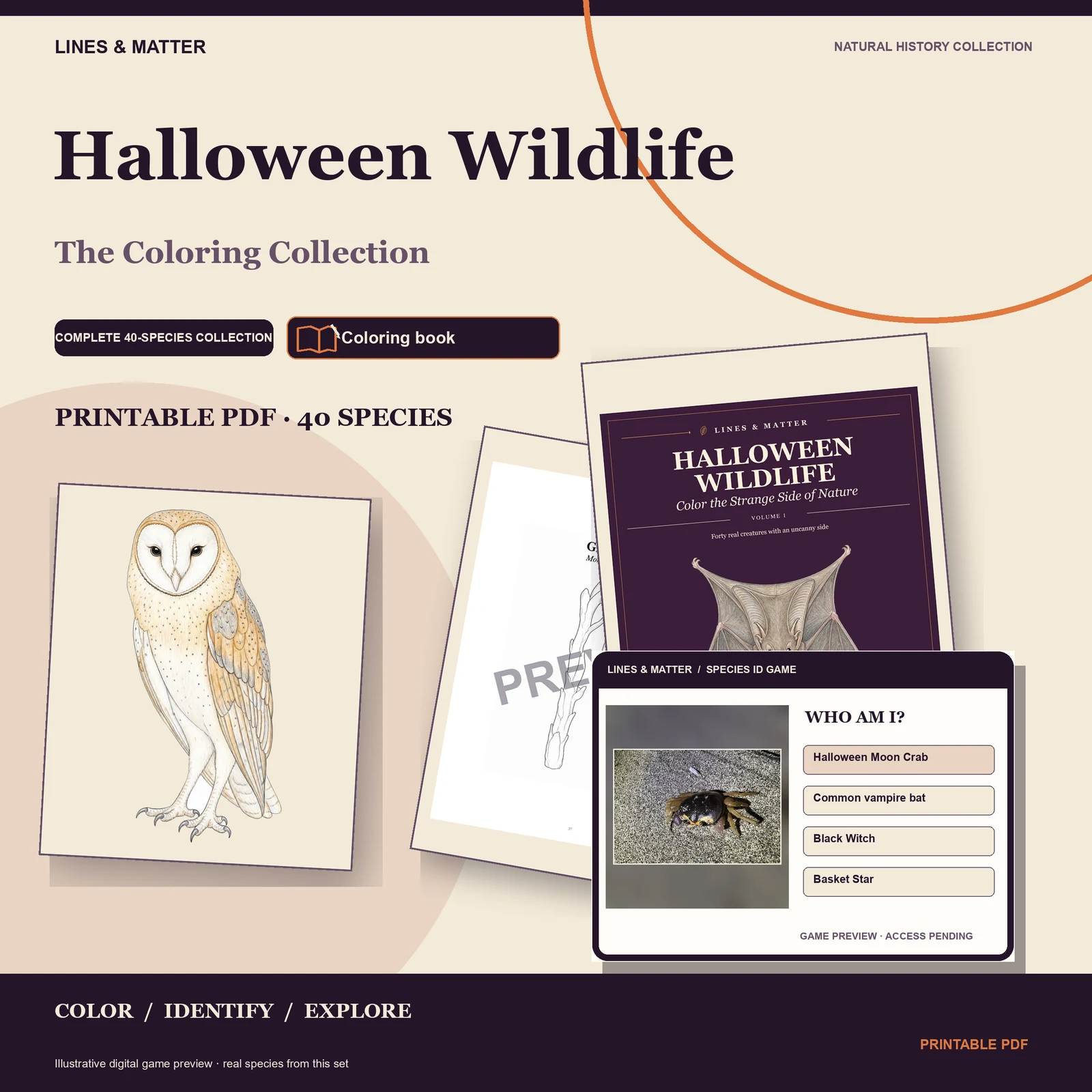 Halloween Wildlife coloring book preview