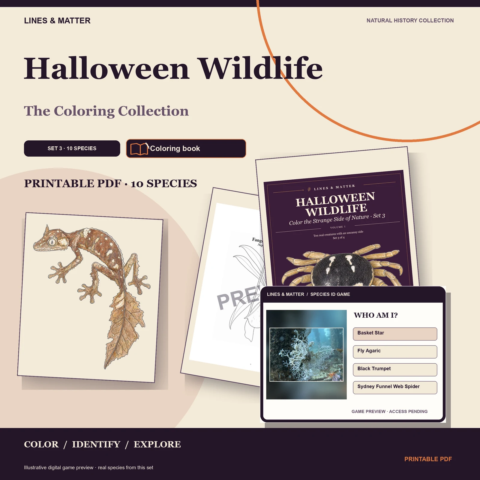 Halloween Wildlife Coloring book — Set 3 — the edition