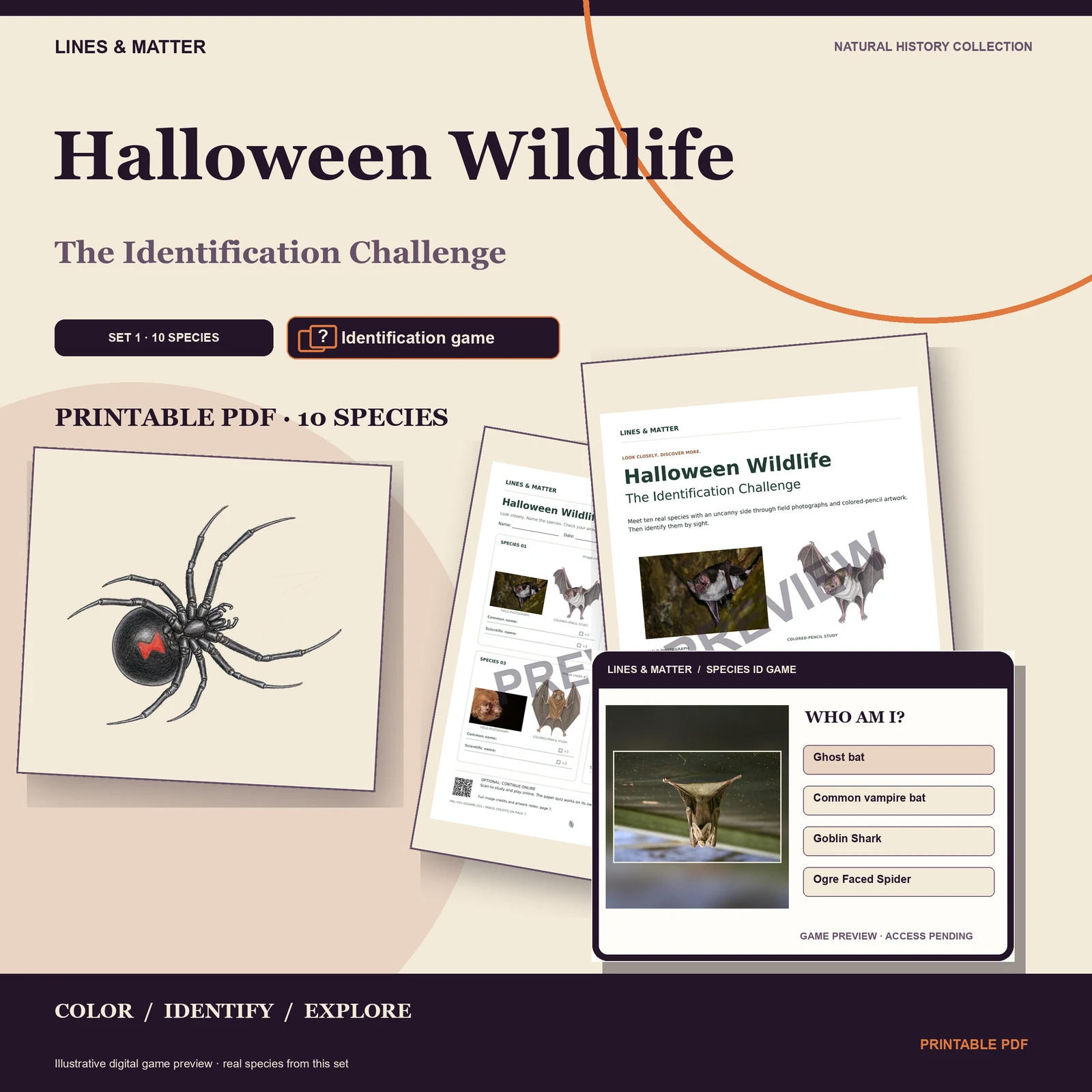 Halloween Wildlife Identification challenge — Set 1 — the edition