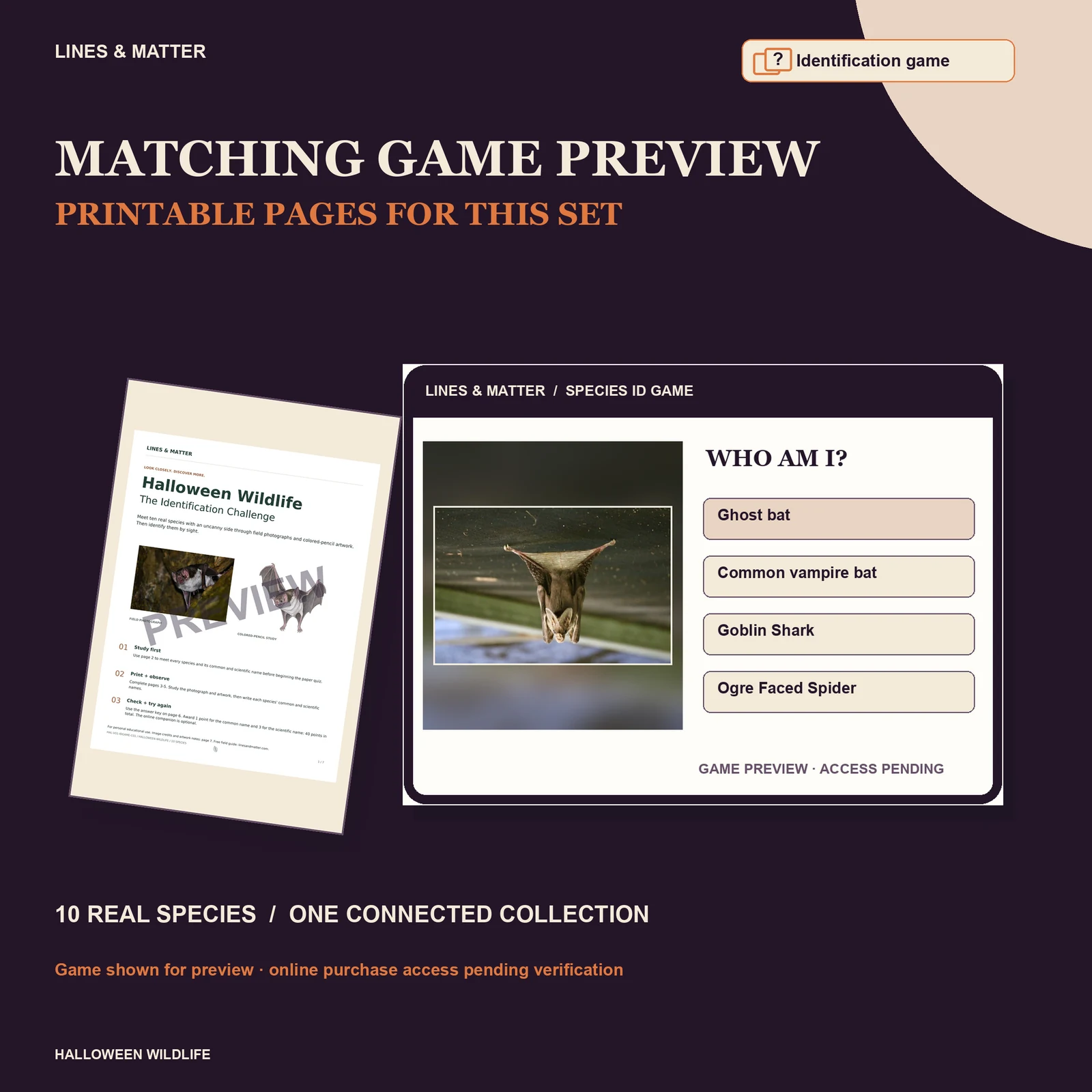Halloween Wildlife Identification challenge — Set 1 — printable pages and online game preview