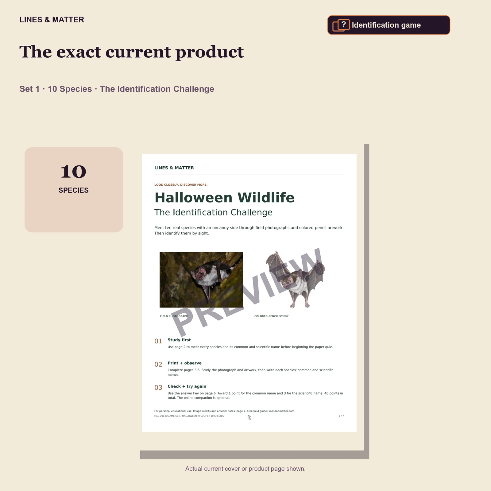 Halloween Wildlife Identification challenge — Set 1 — the exact current product