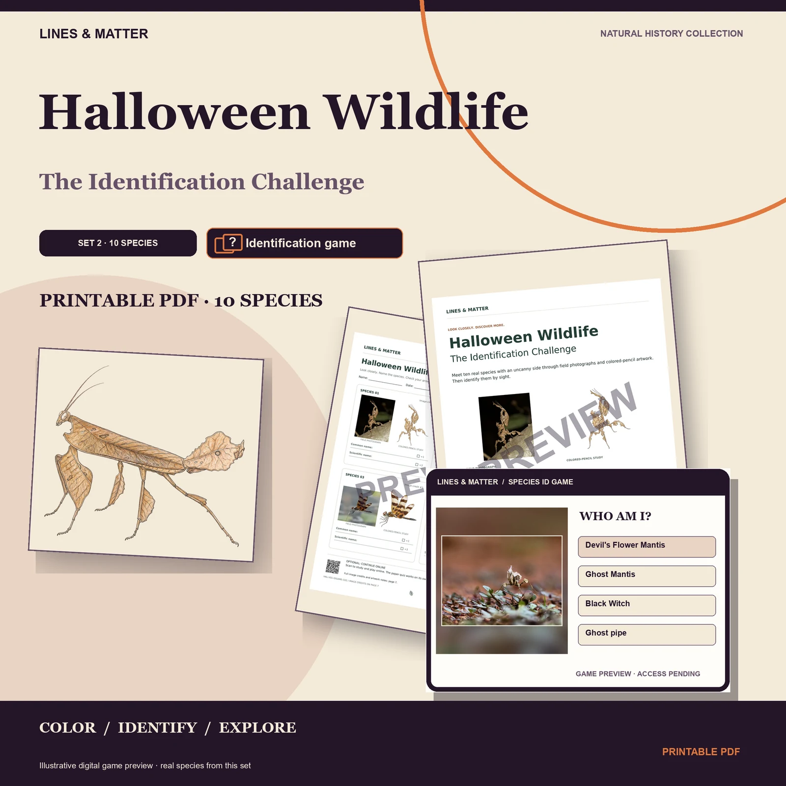 Halloween Wildlife Identification challenge — Set 2 — the edition