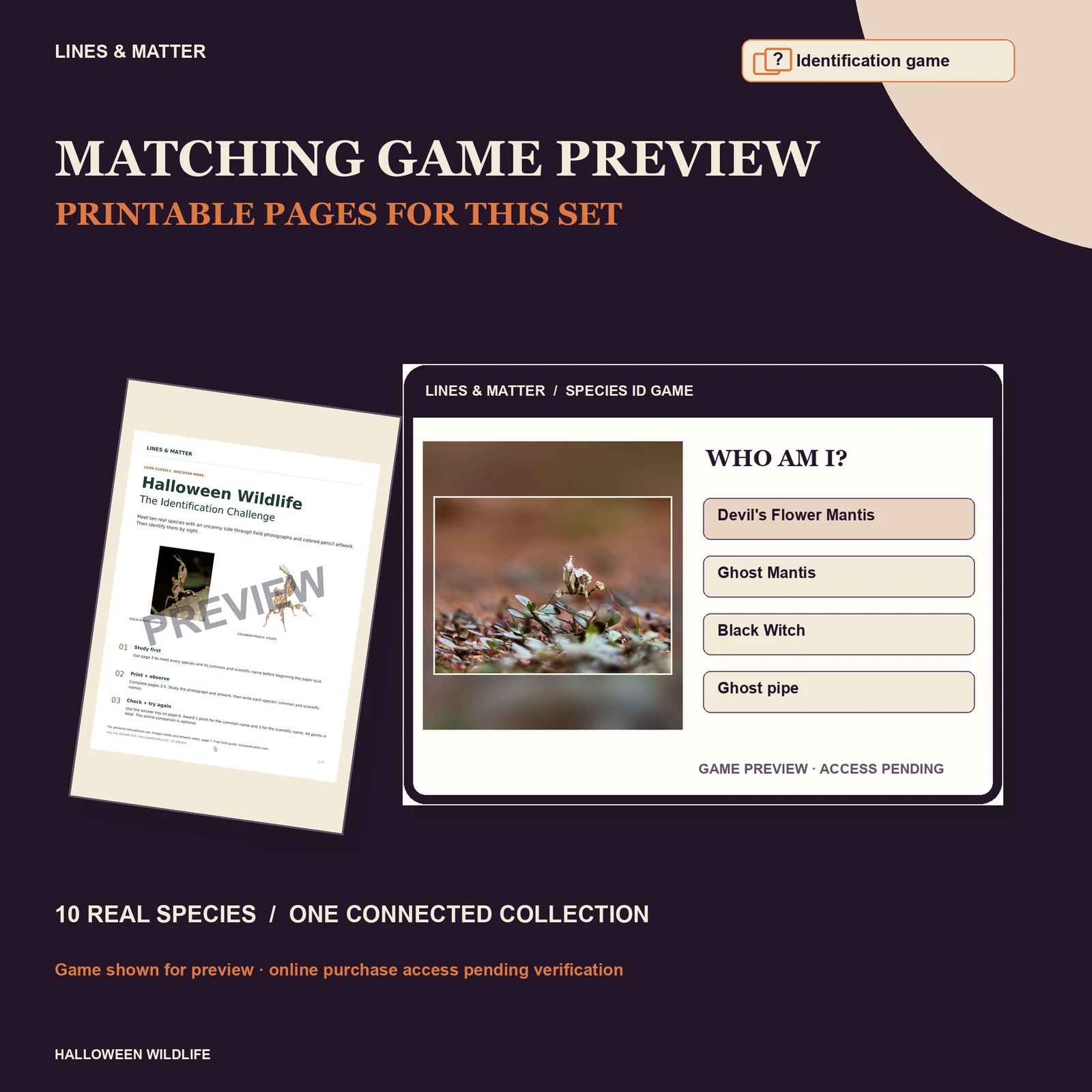 Halloween Wildlife Identification challenge — Set 2 — printable pages and online game preview