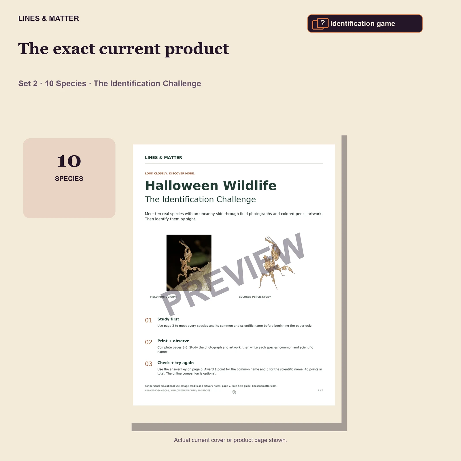 Halloween Wildlife Identification challenge — Set 2 — the exact current product