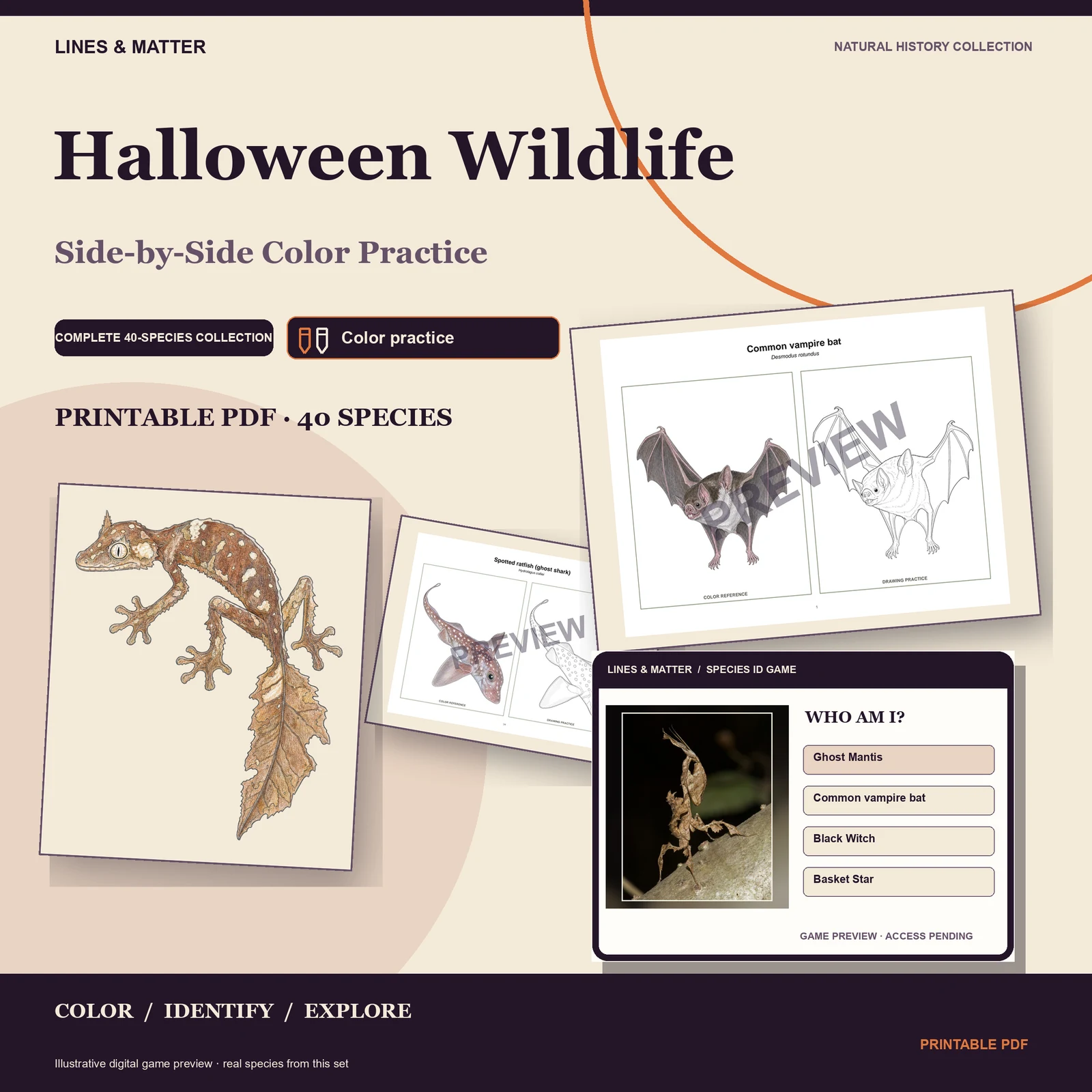 Halloween Wildlife Color practice — Complete 40 — the edition