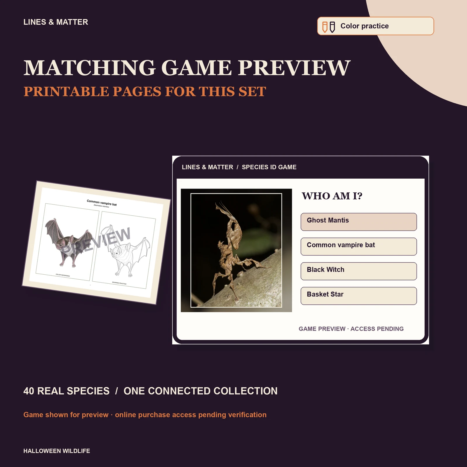 Halloween Wildlife Color practice — Complete 40 — printable pages and online game preview