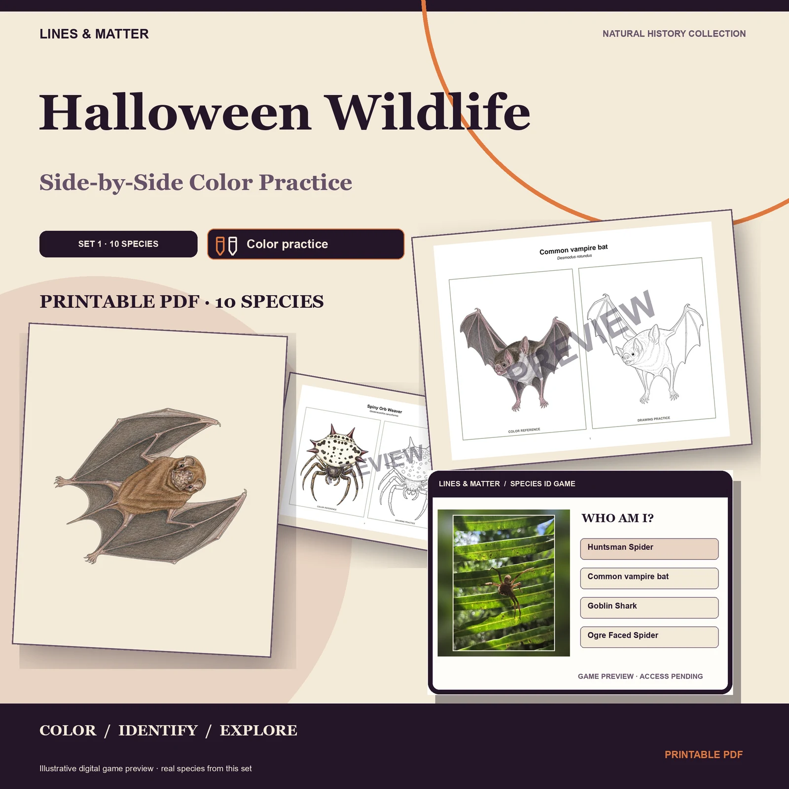 Halloween Wildlife Color practice — Set 1 — the edition