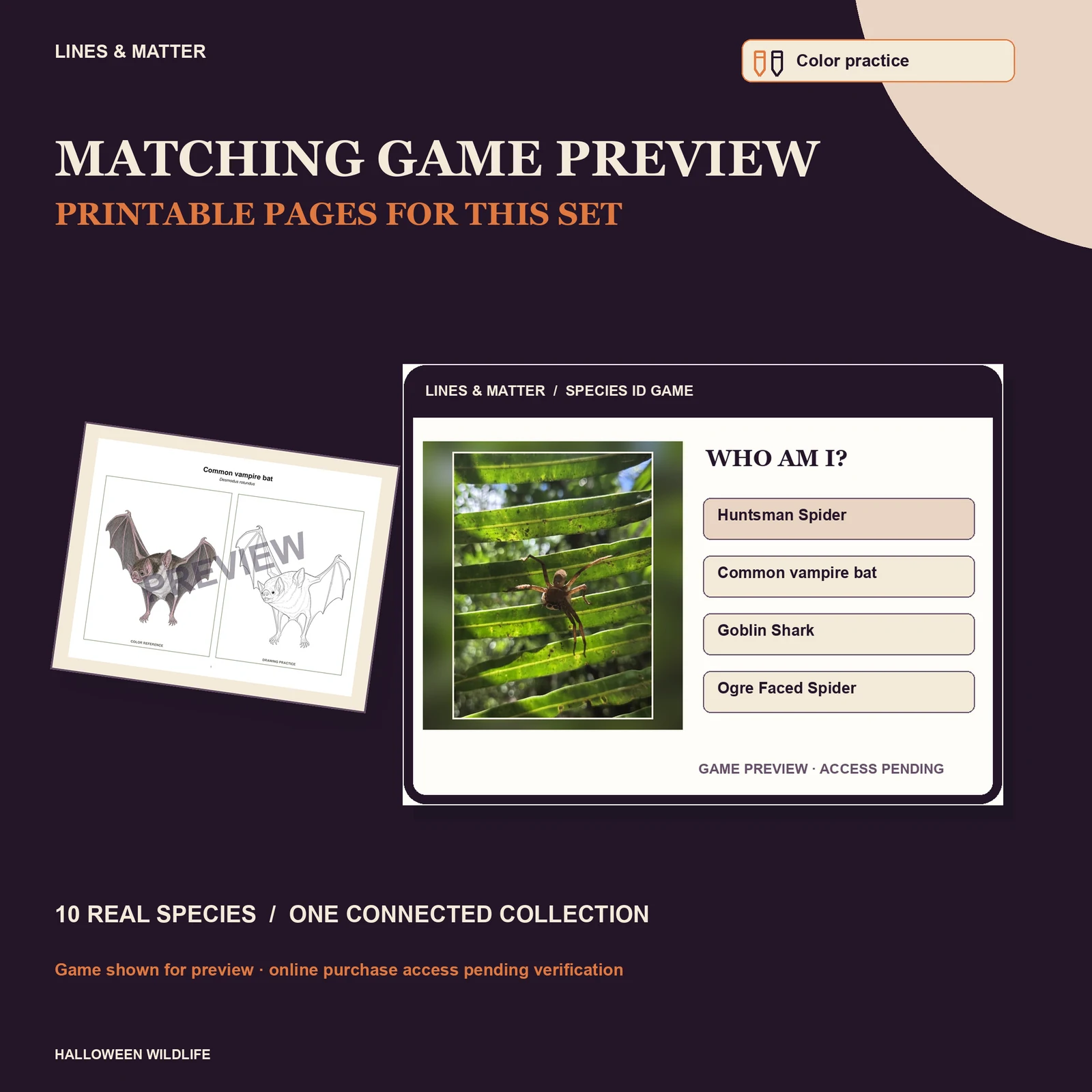 Halloween Wildlife Color practice — Set 1 — printable pages and online game preview