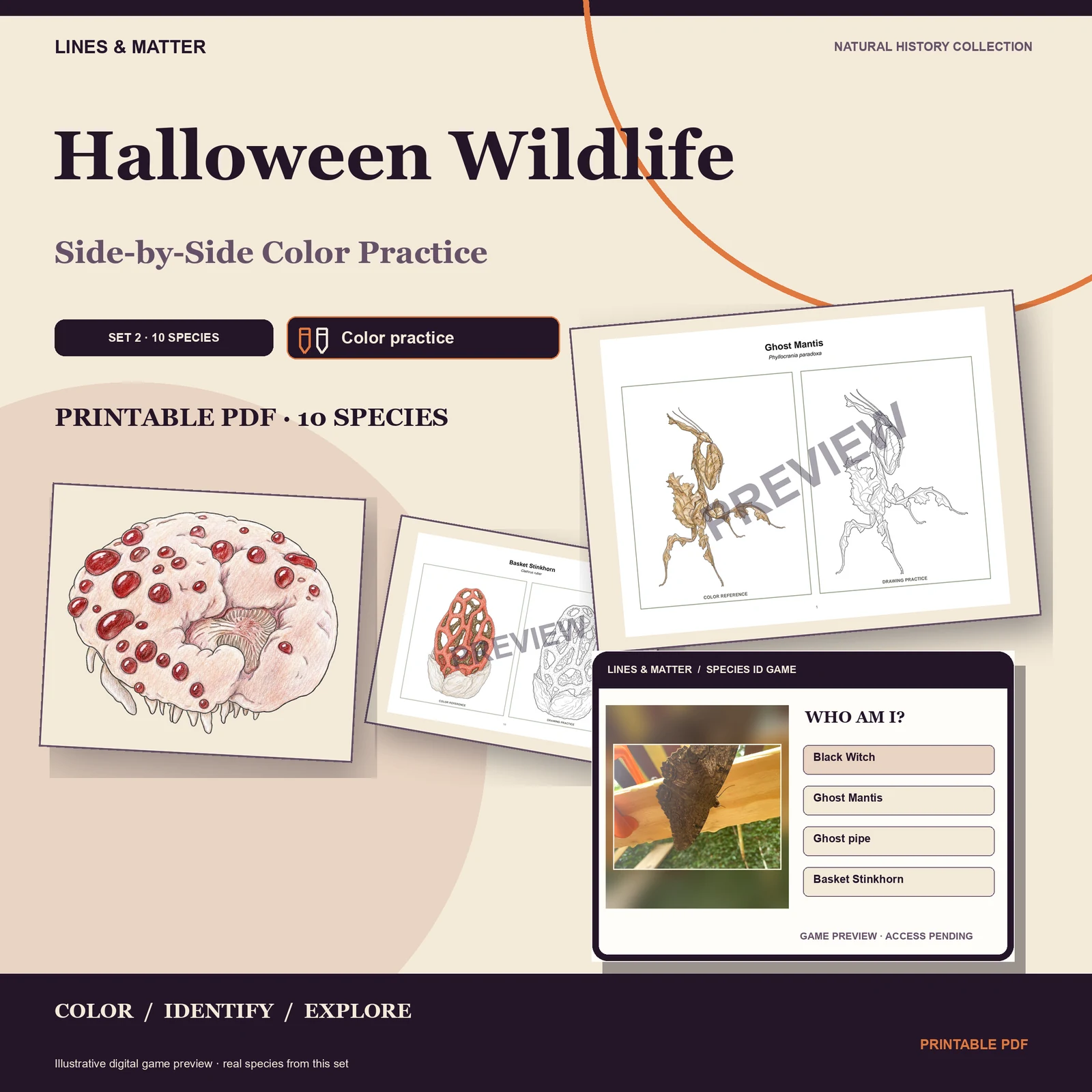 Halloween Wildlife Color practice — Set 2 — the edition