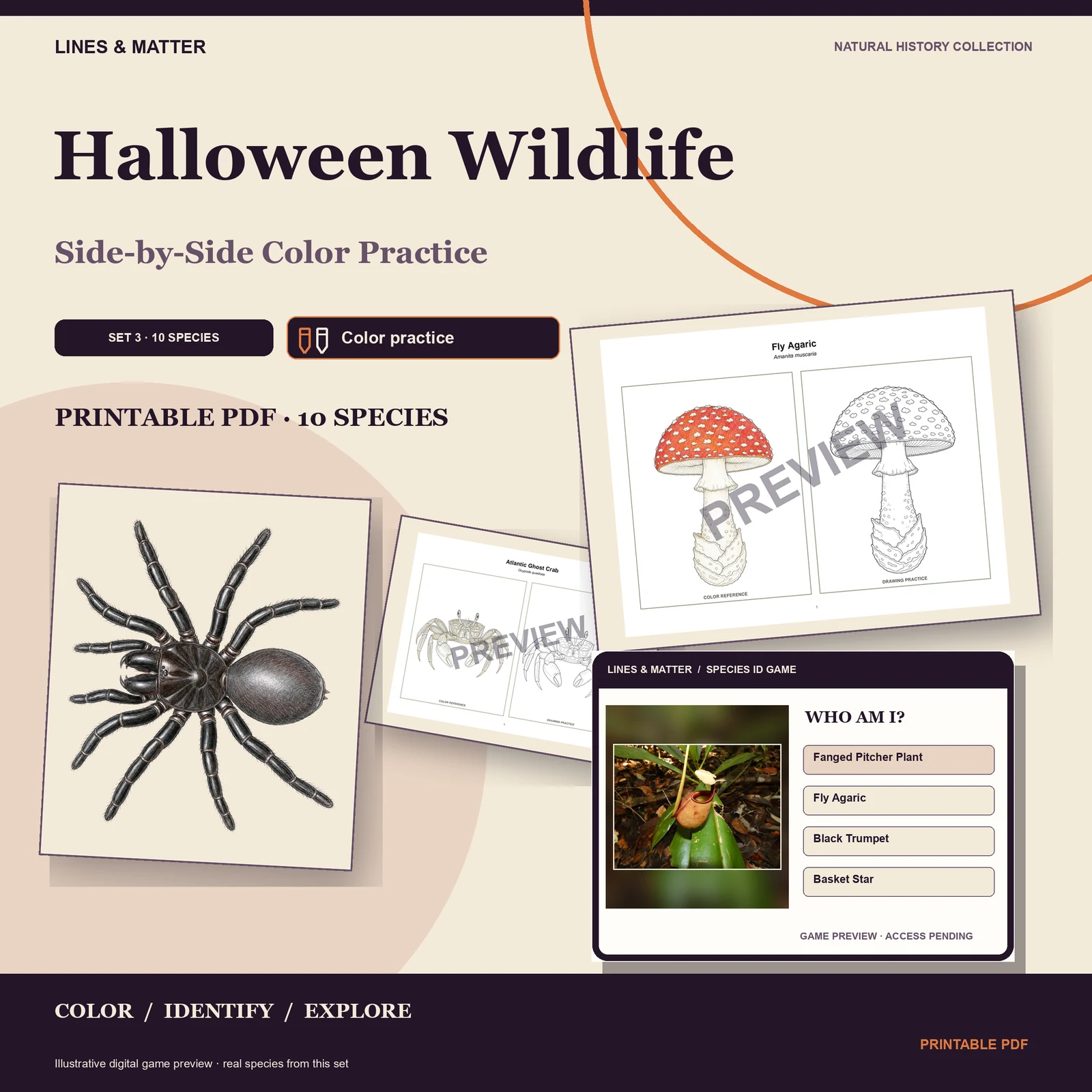 Halloween Wildlife Color practice — Set 3 — the edition
