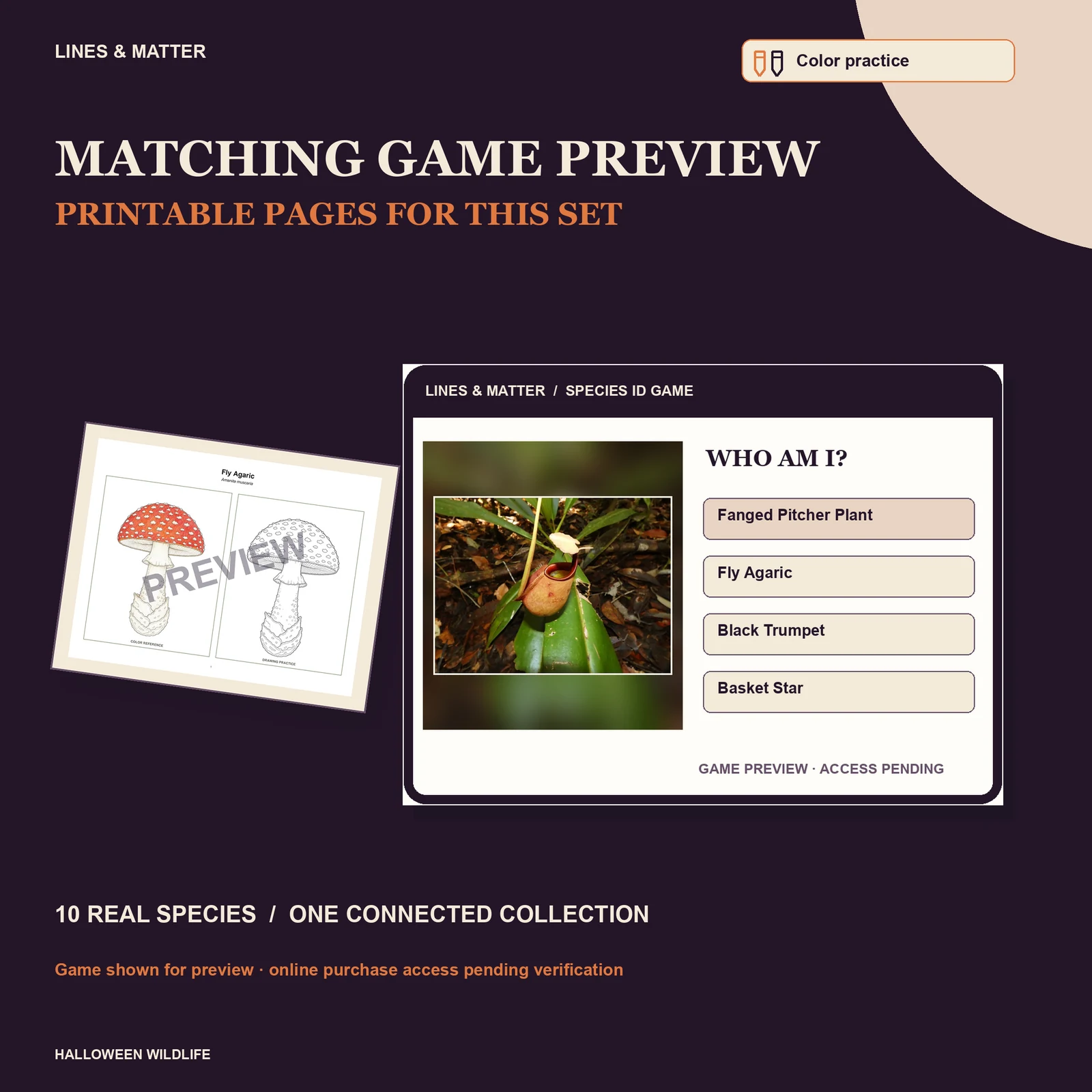 Halloween Wildlife Color practice — Set 3 — printable pages and online game preview