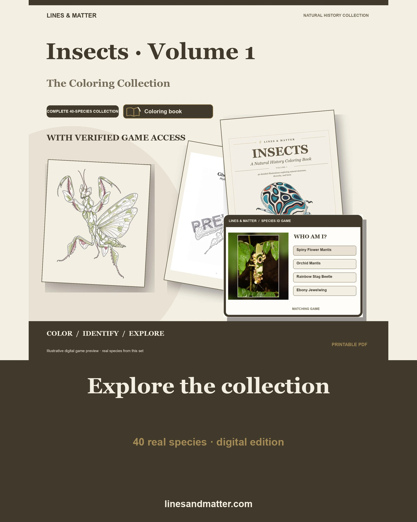 Insects · Volume 1 coloring preview 1