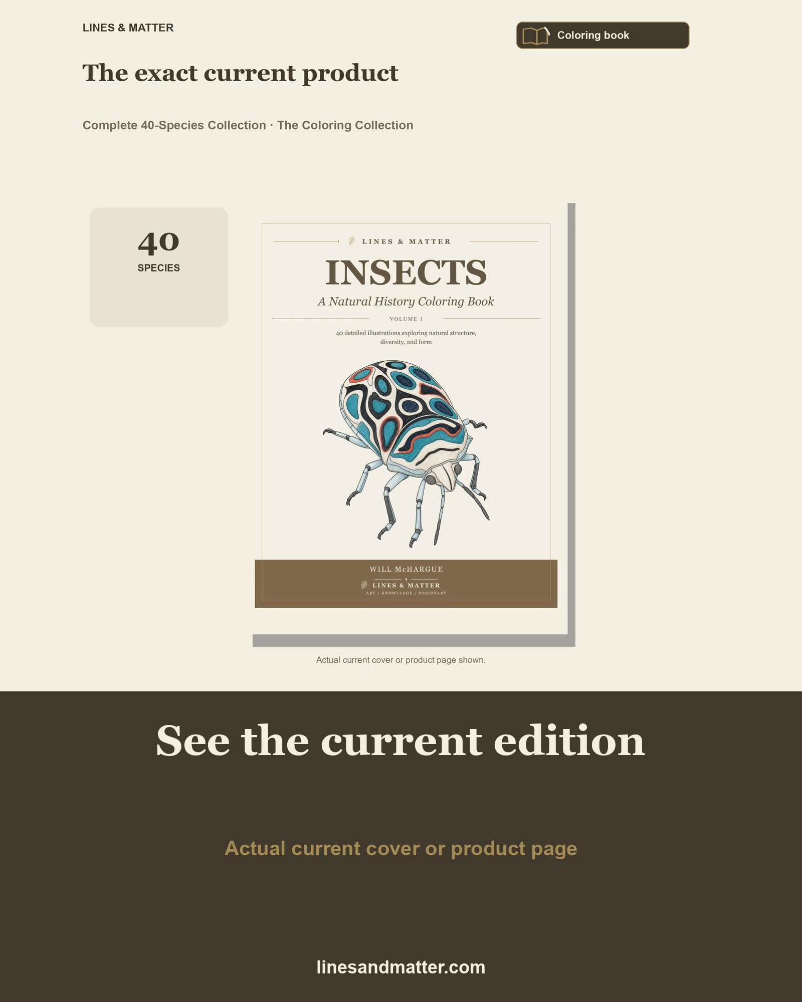 Insects · Volume 1 coloring preview 3