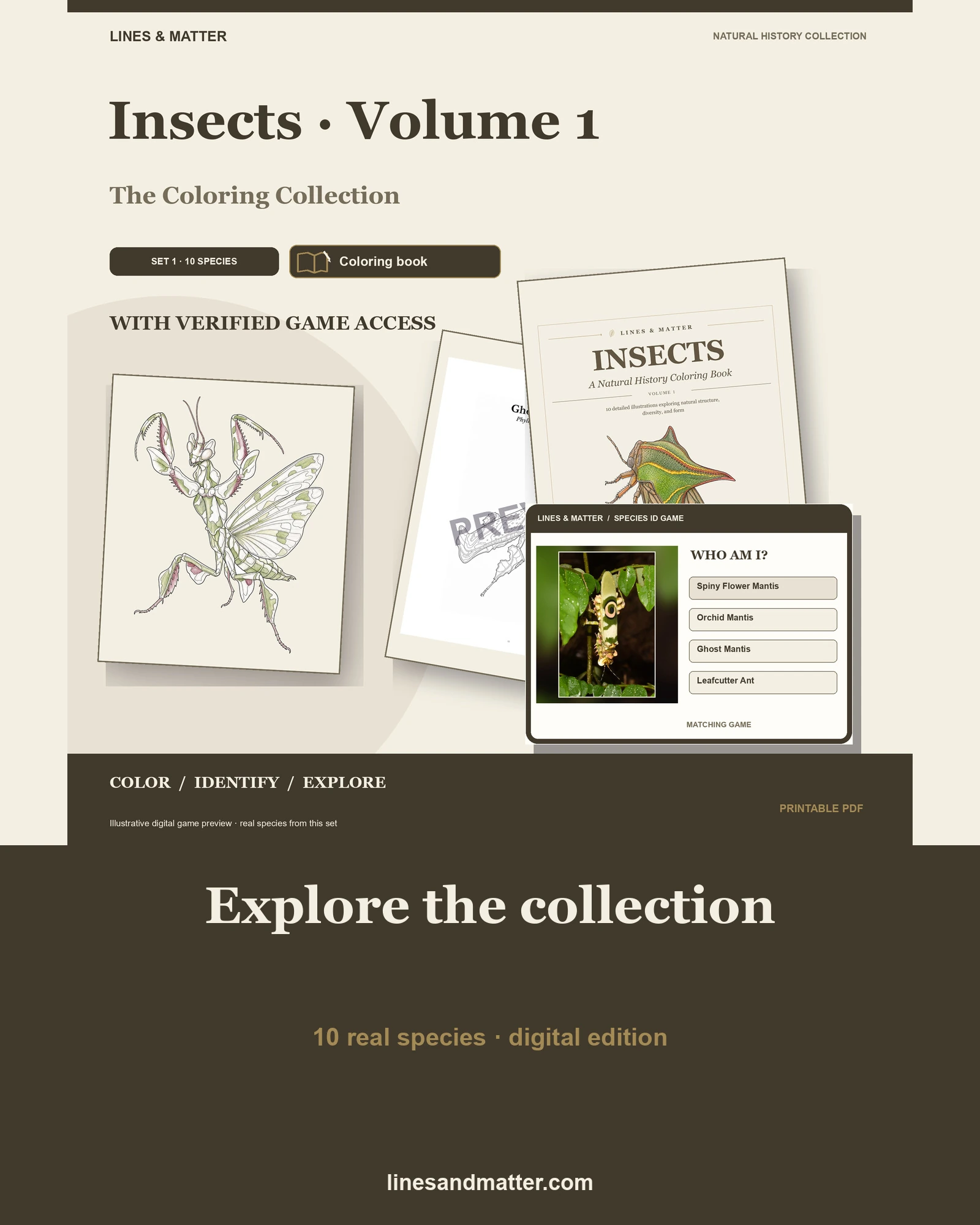 Insects · Volume 1 coloring preview 1