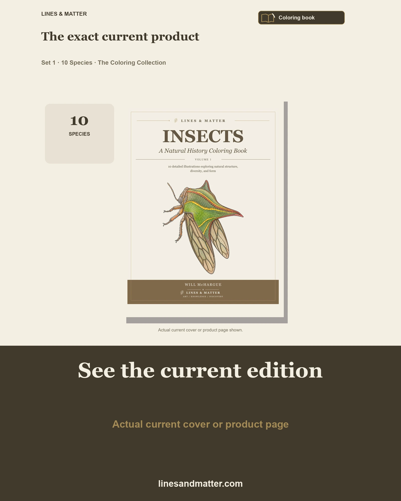 Insects · Volume 1 coloring preview 3