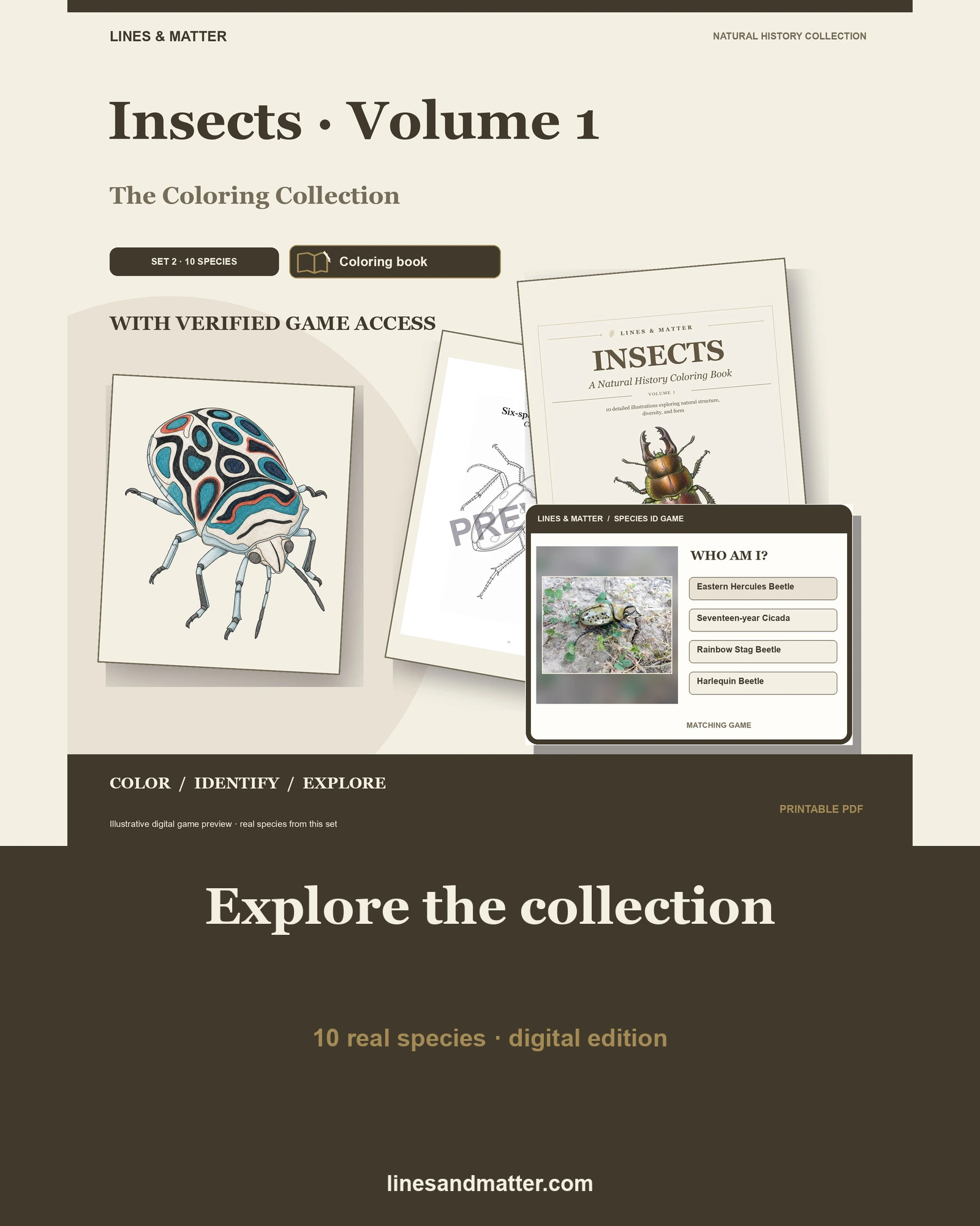 Insects · Volume 1 coloring preview 1