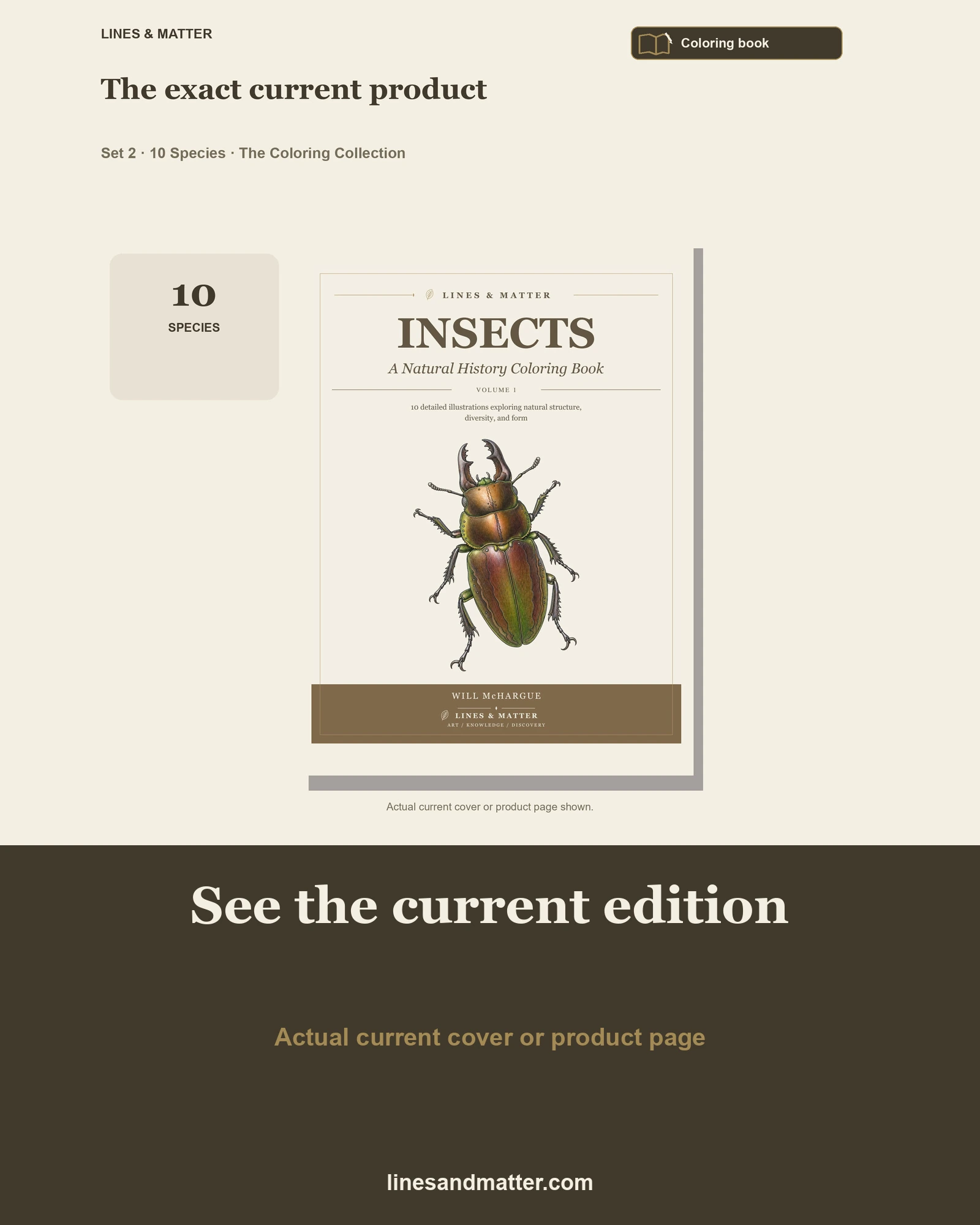 Insects · Volume 1 coloring preview 3