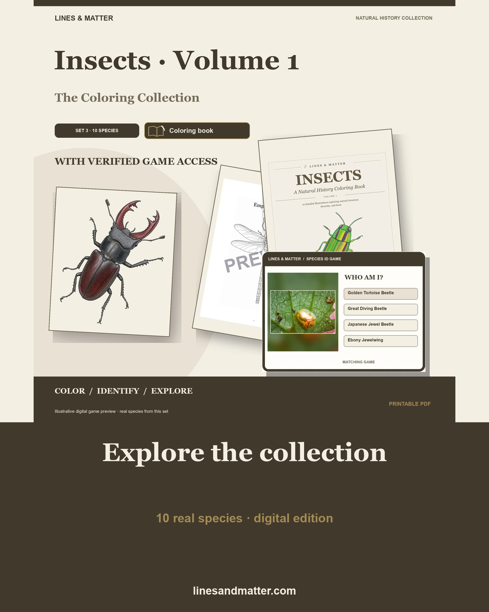 Insects · Volume 1 coloring preview 1