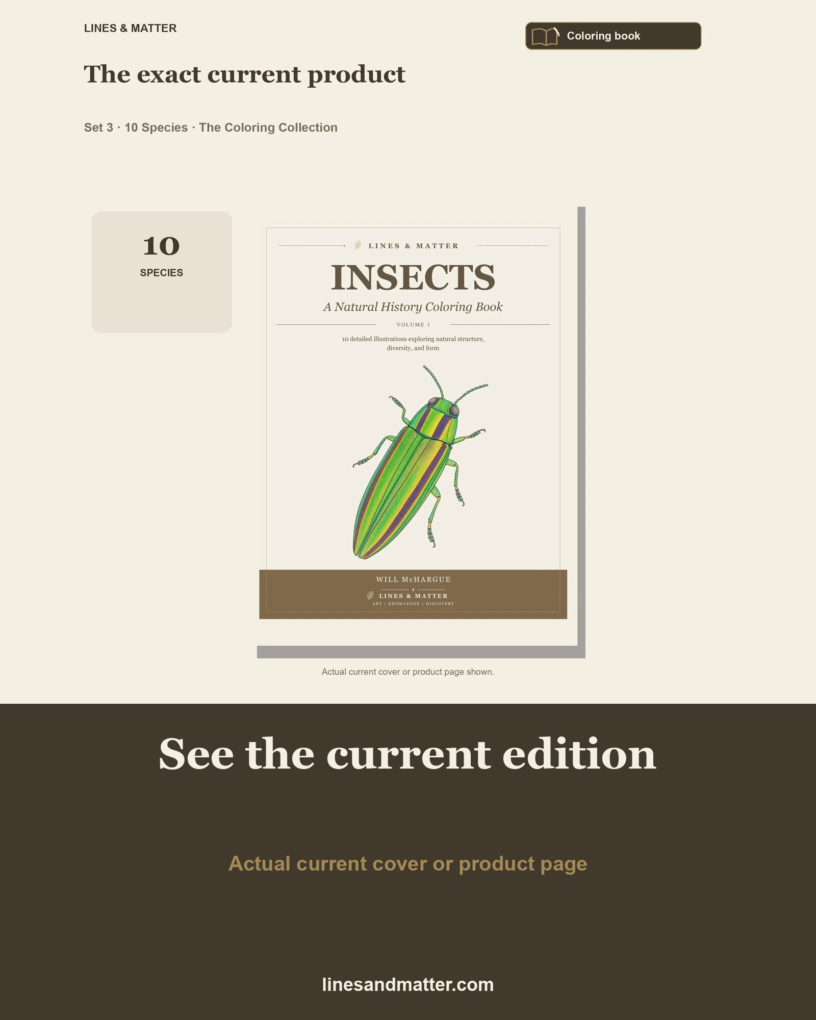 Insects · Volume 1 coloring preview 3