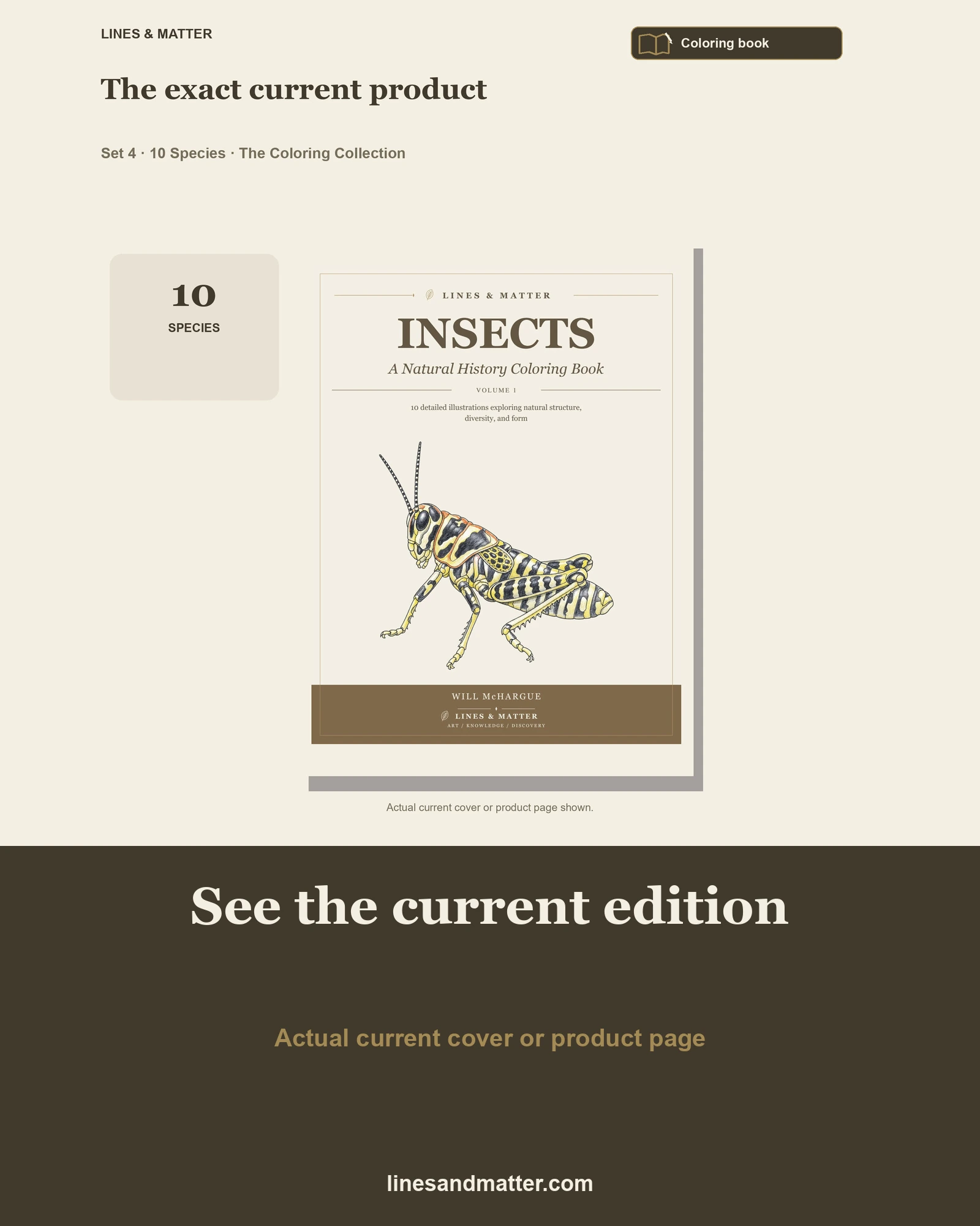 Insects · Volume 1 coloring preview 3